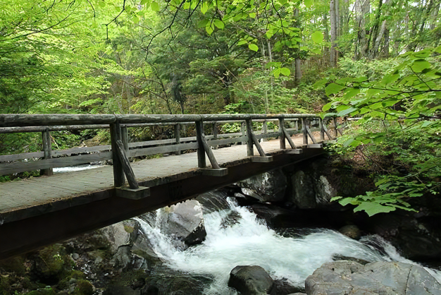 迫力ある渓流を楽しむ「オルガン橋」