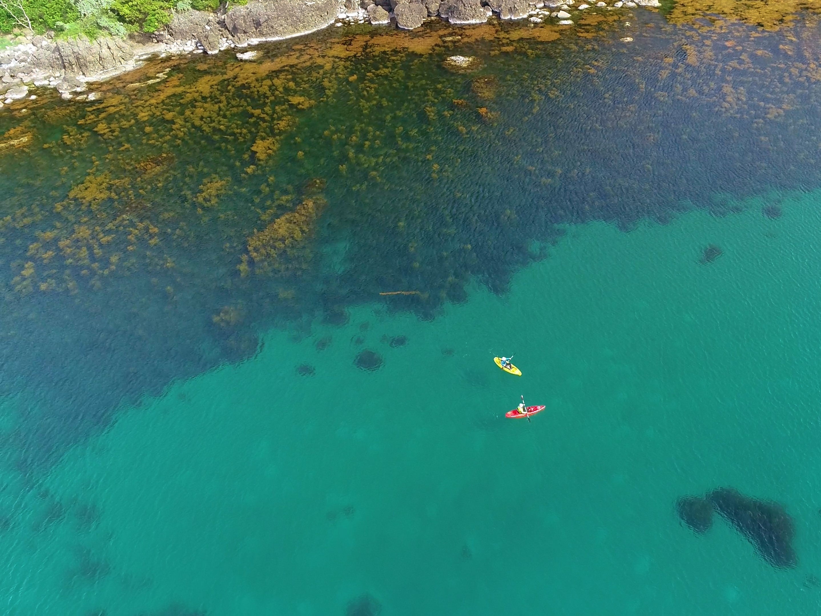透明度の高い竹野の海