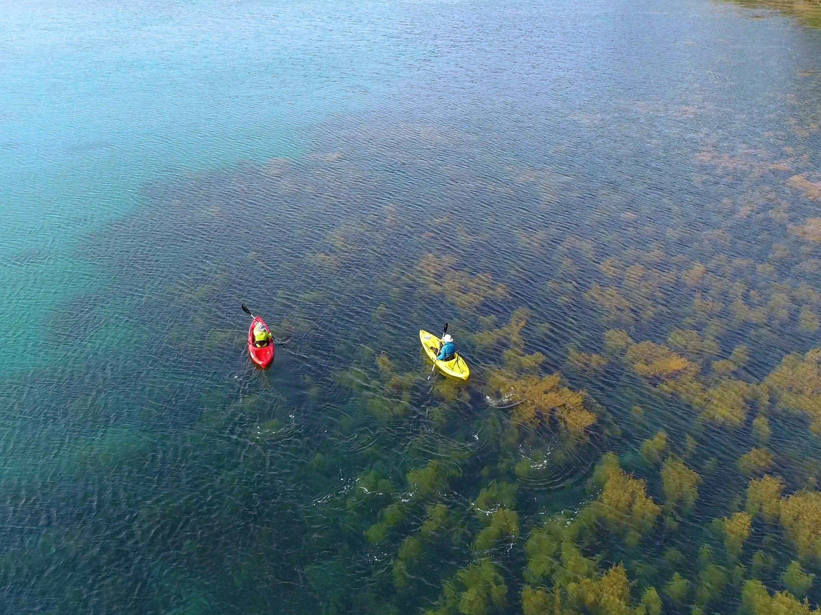 初夏は海の透明度が高い