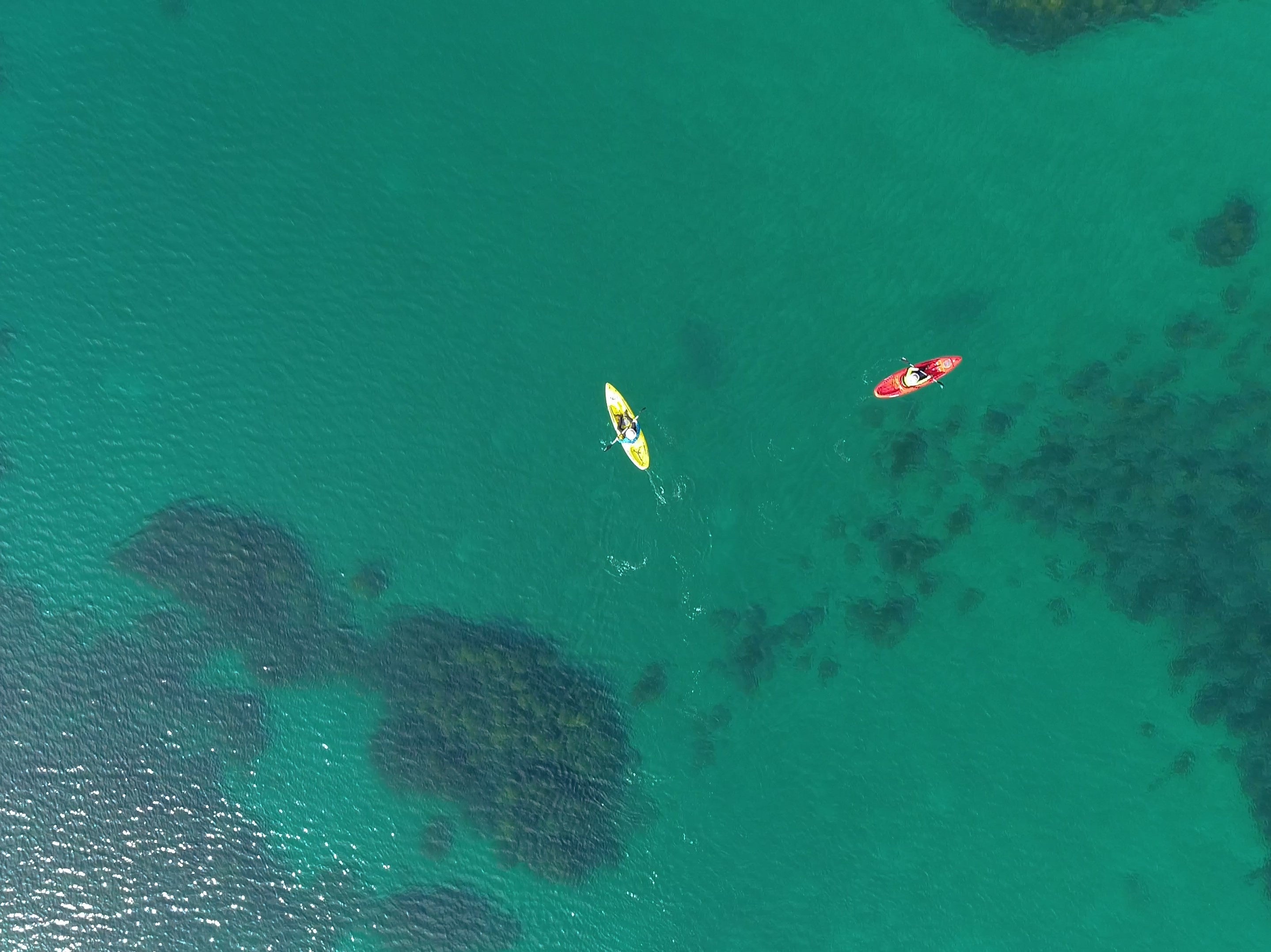 海の上をあっちこっち