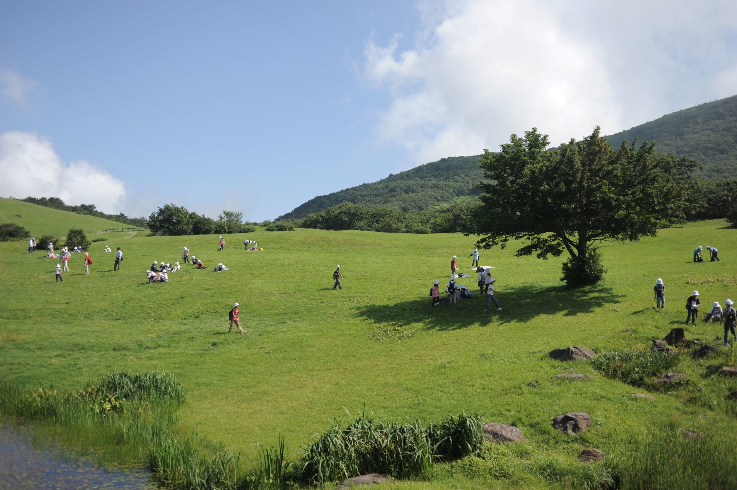 天然芝の広がる草原（ホテル前）