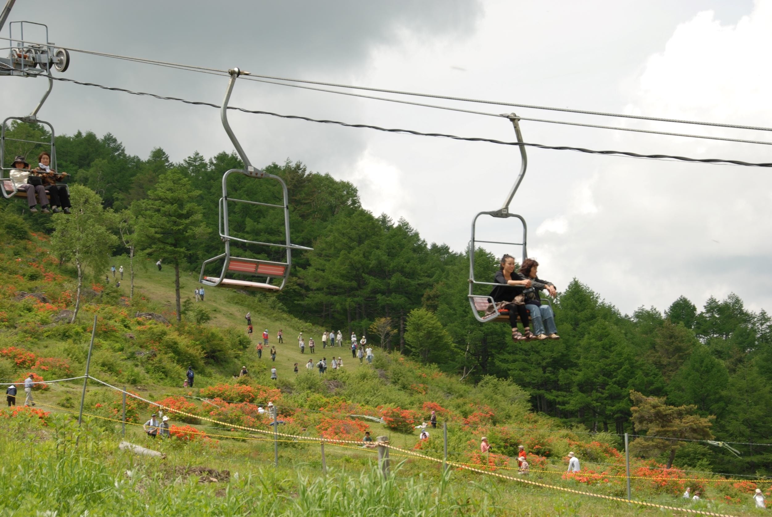 つつじを上から眺める「空中散歩」が楽しめます