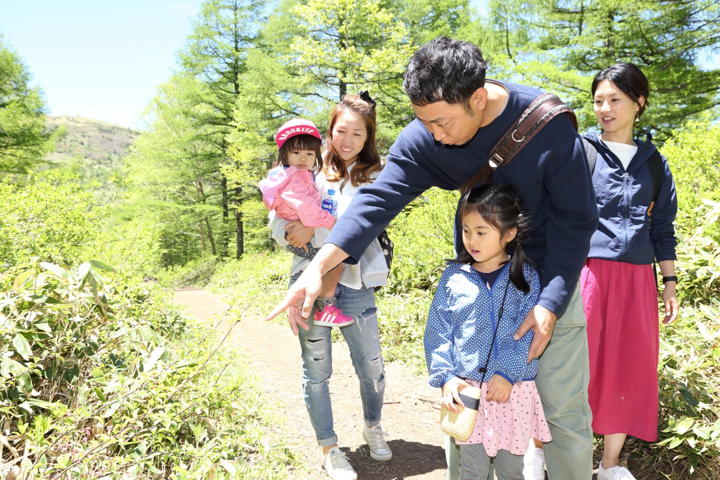 湯の丸高原の自然を楽しみながら案内します