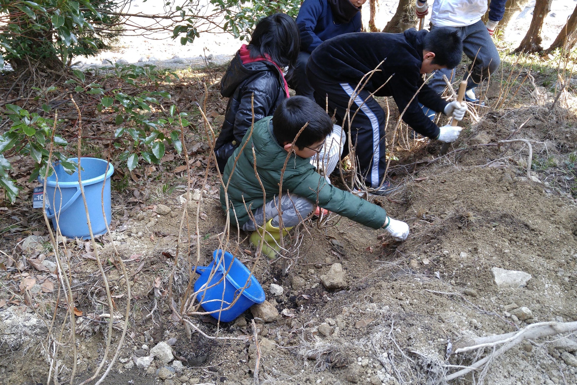 過去の加太植樹祭の様子