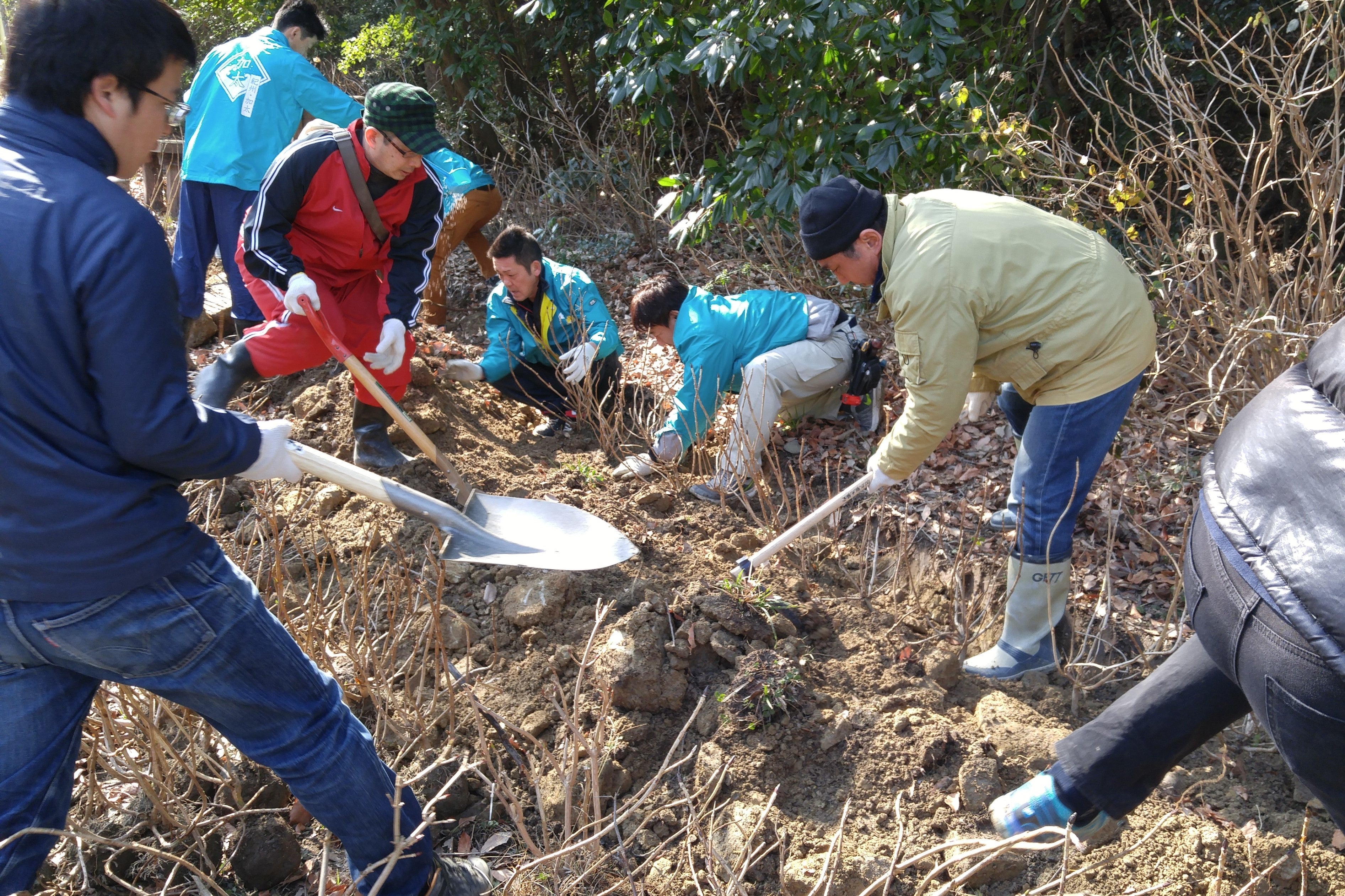 過去の加太植樹祭の様子