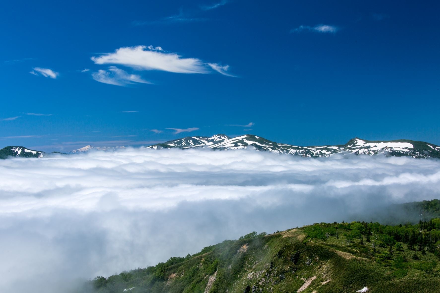 犬倉山山頂からの雲海