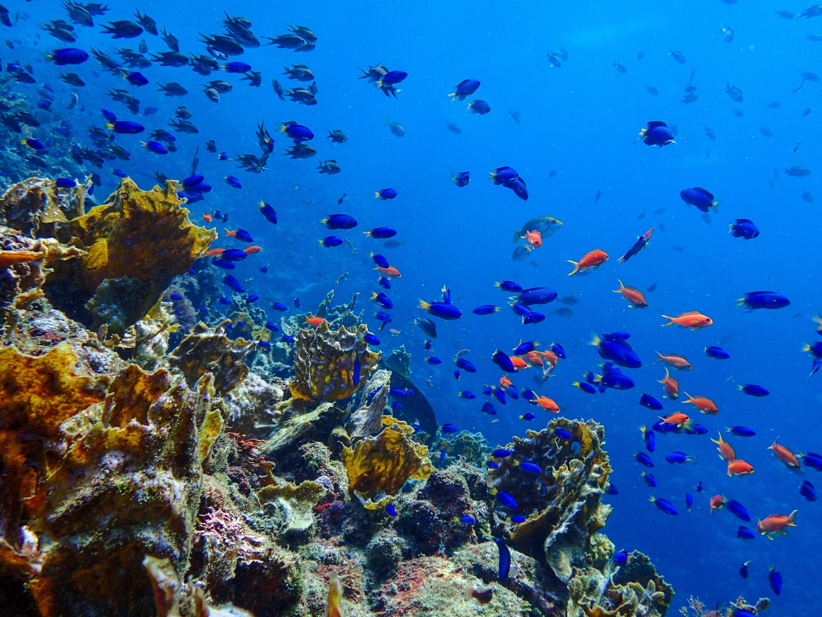 水族館の中にいるような絶景