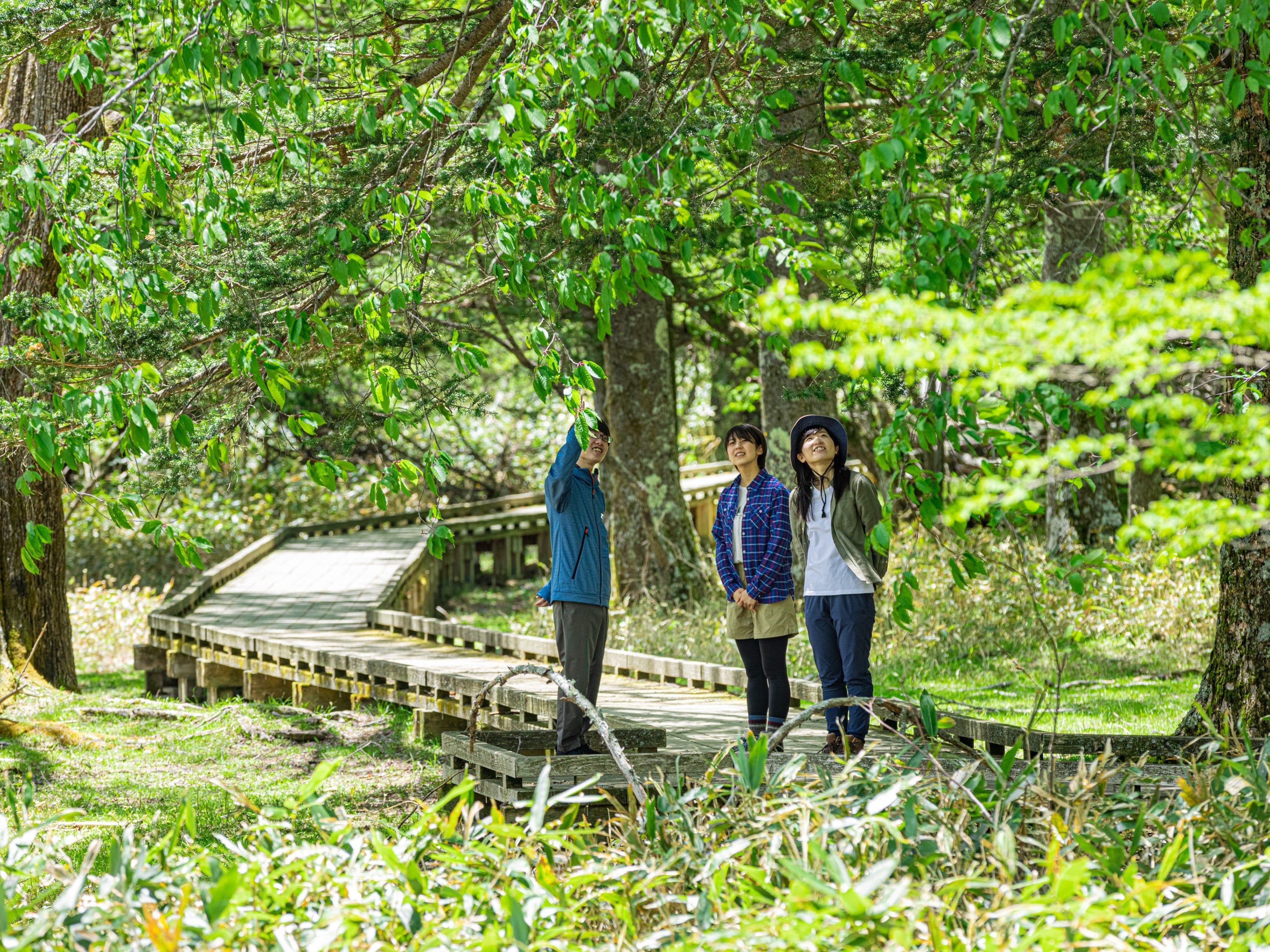 時には野生動物との出会いも