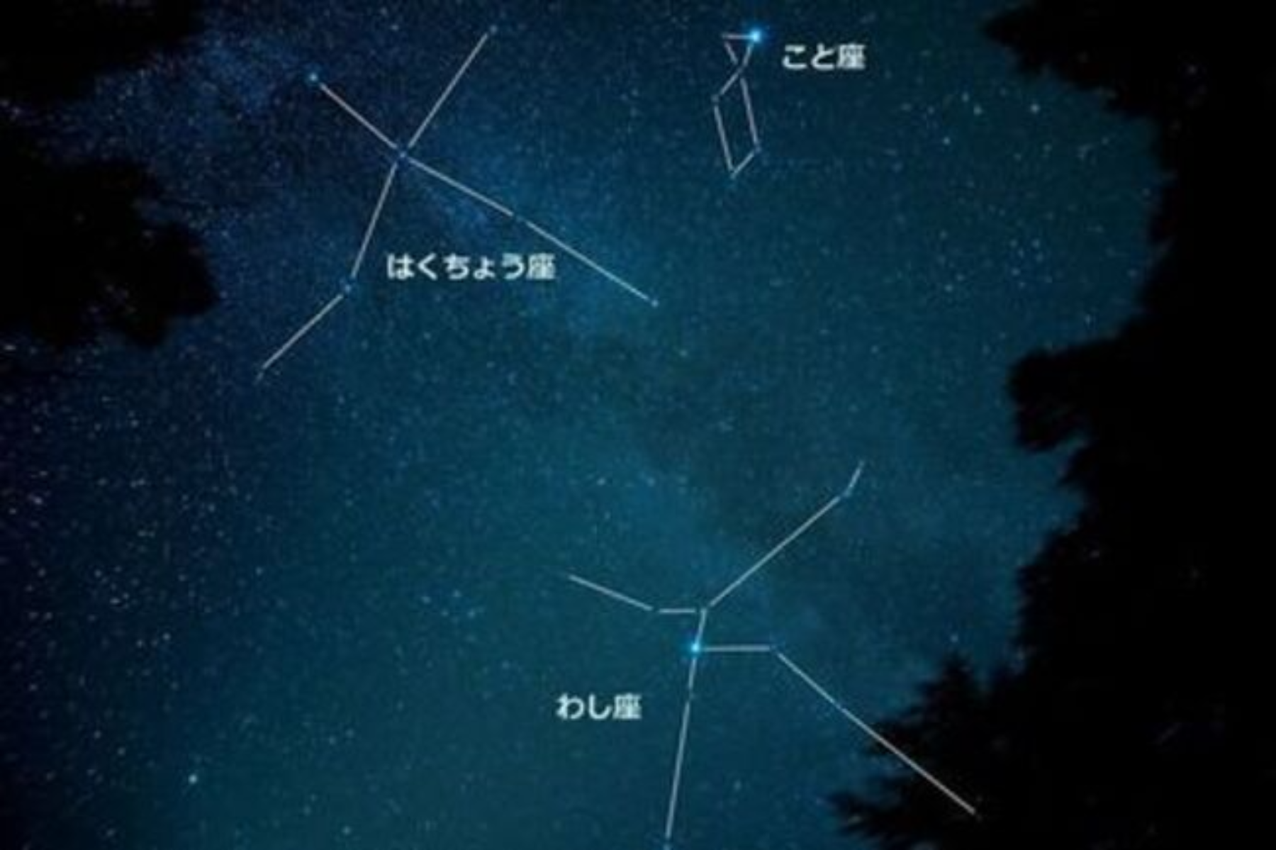 運が良ければ天の川まで観測できます