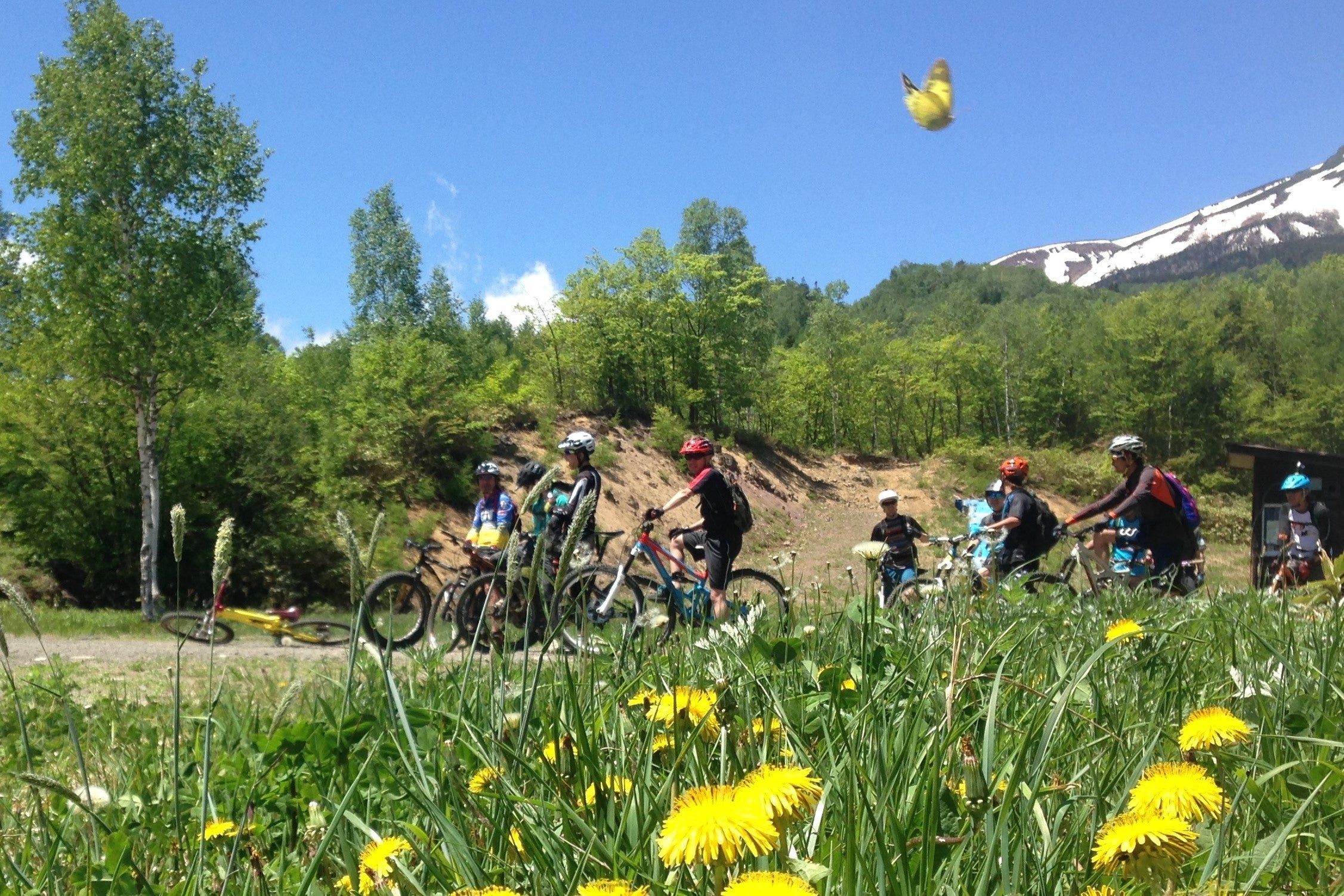 参加者レベルに合わせてトレイルをガイドします