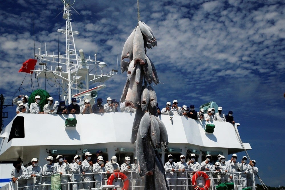 2021年度入賞作品「この旅の1枚部門」休暇村協会賞　僕らの水揚げ／柏舘 健