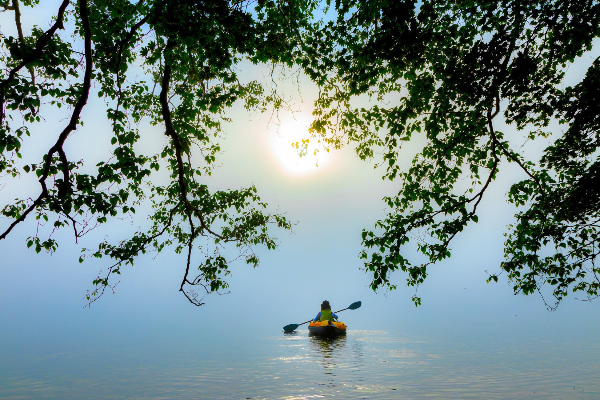 2021年度入賞作品「私と○○部門」キーコーヒー賞 静寂の朝に/深野 達也