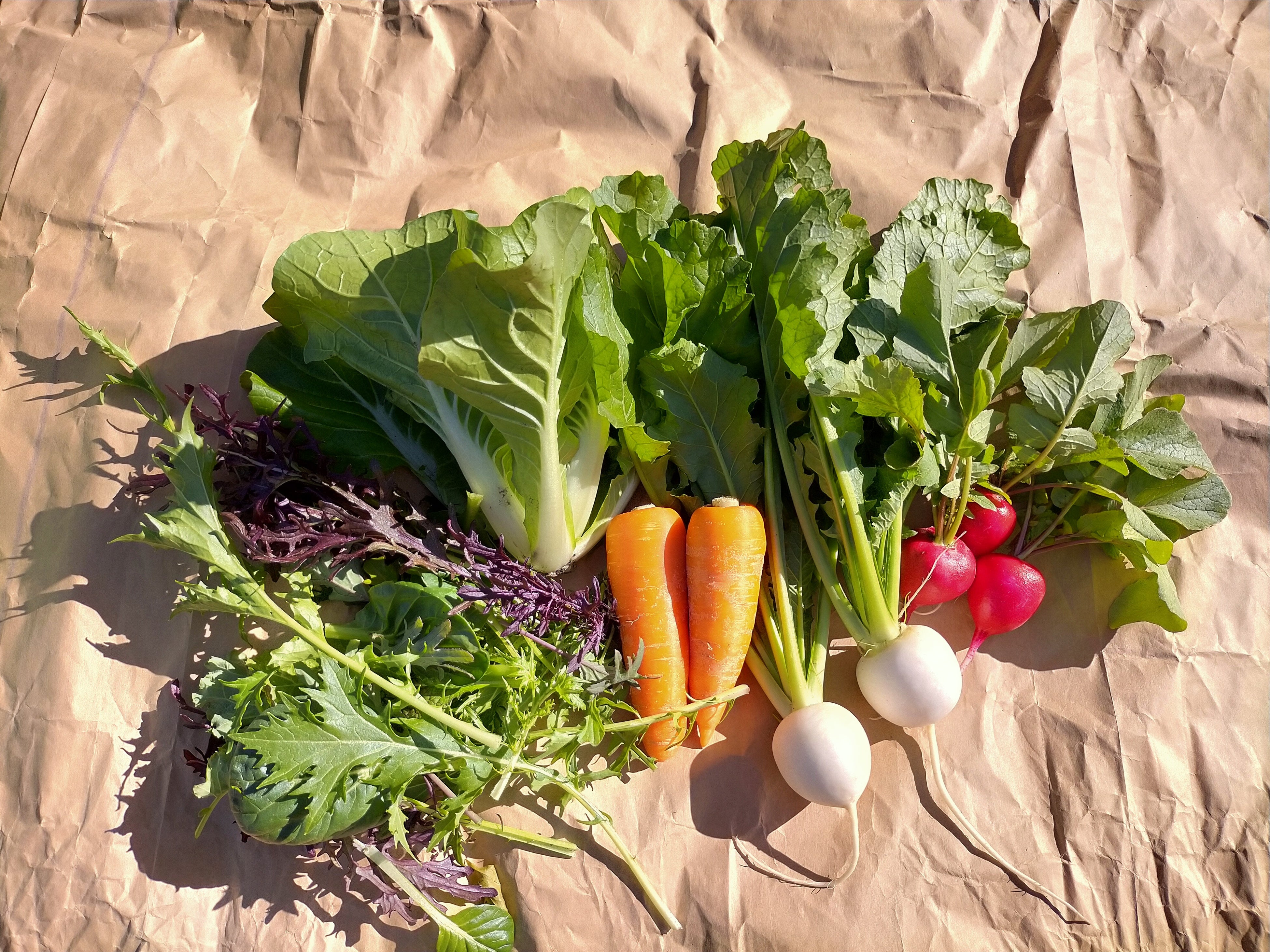 蒜山高原の高原野菜