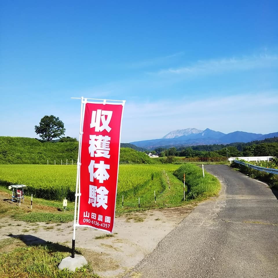 絶景の中の収穫体験