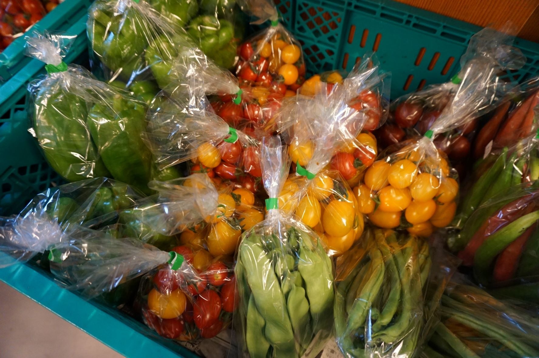 朝採れの新鮮野菜が並びます