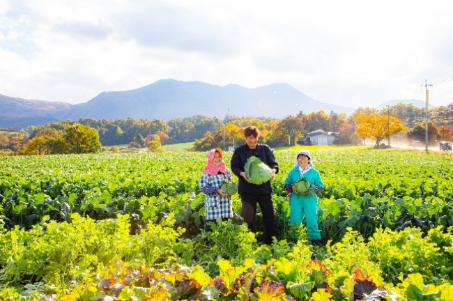料理長自ら農家の畑に出向き、新鮮な野菜を仕入れています