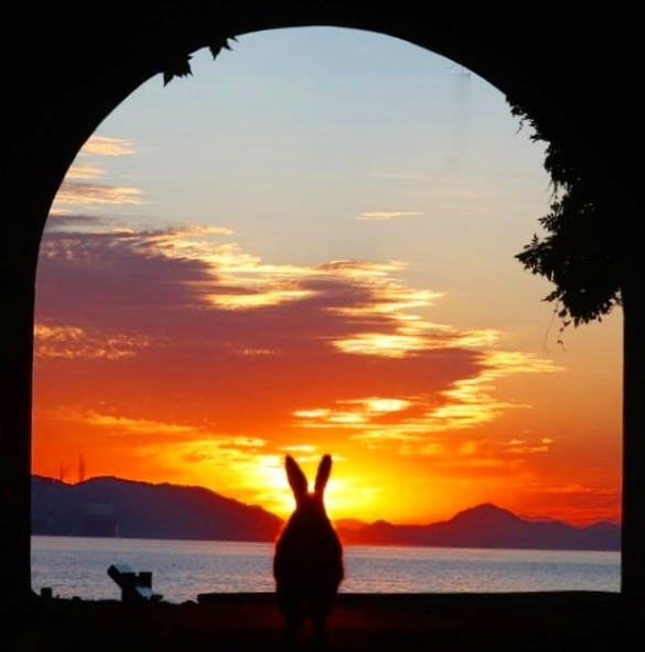 @yamachan555555さんの投稿