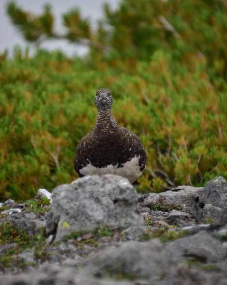 @takigawa_kris_sさんの投稿