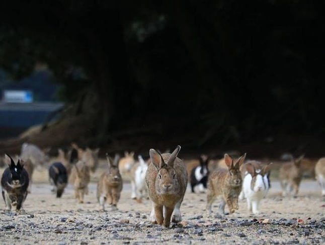 @yamachan555555さんの投稿