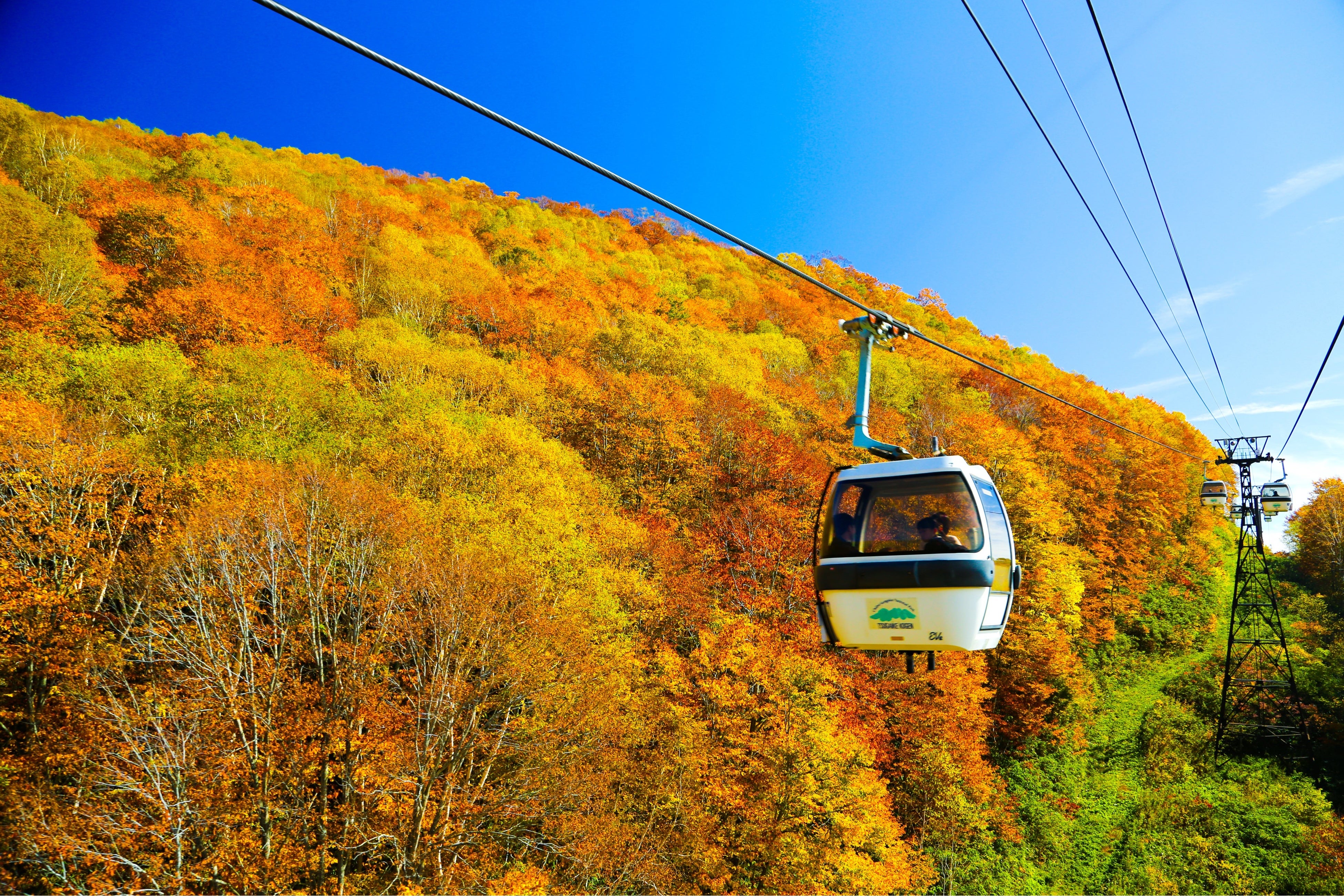 つがいけロープウェイ