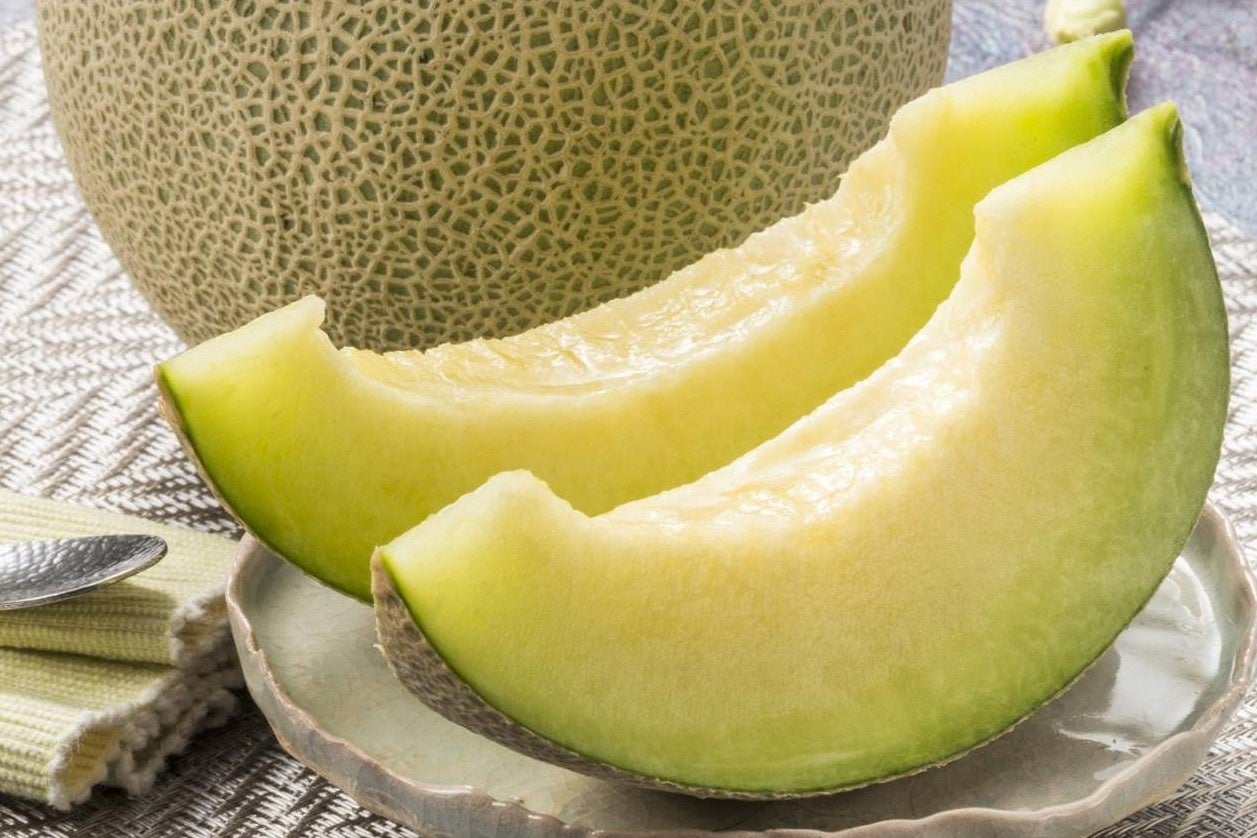 「アクアメロン」は千葉県生まれのマスクメロンの改良種です