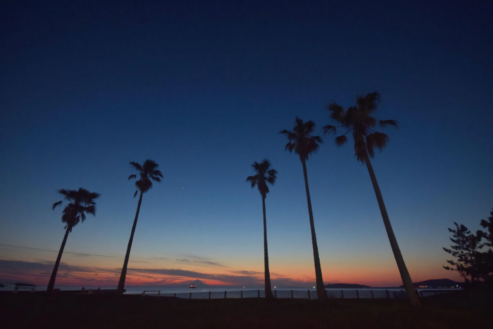 千葉県館山市が秋の旅行を応援 泊まって得トク 館山おもてなし旅 が９月１日から始まります 屈指の漁獲量を誇る房総の伊勢海老もシュンです 自然にときめくリゾート 休暇村のプレスリリース