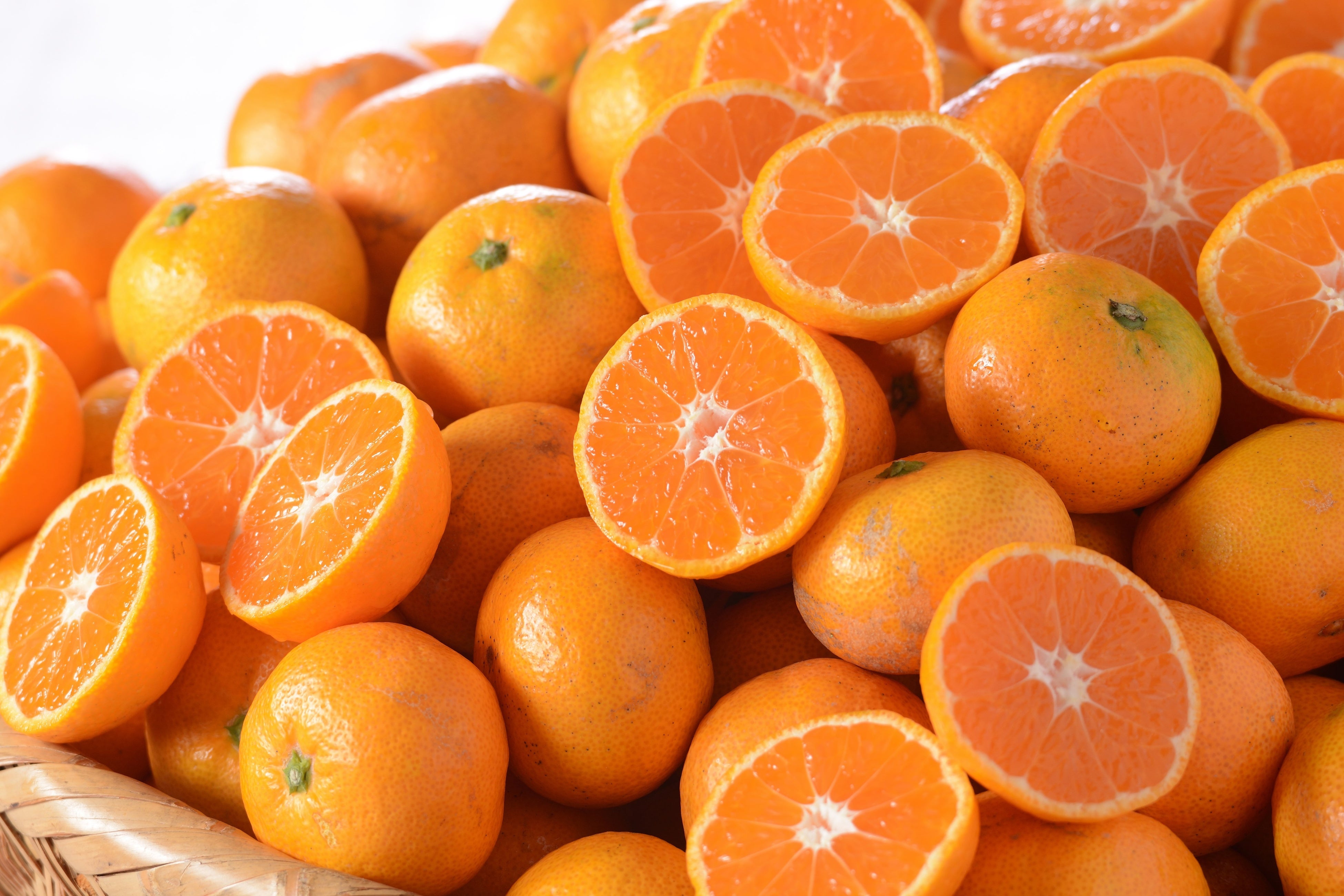 柑橘王国愛媛フルーツビュッフェ