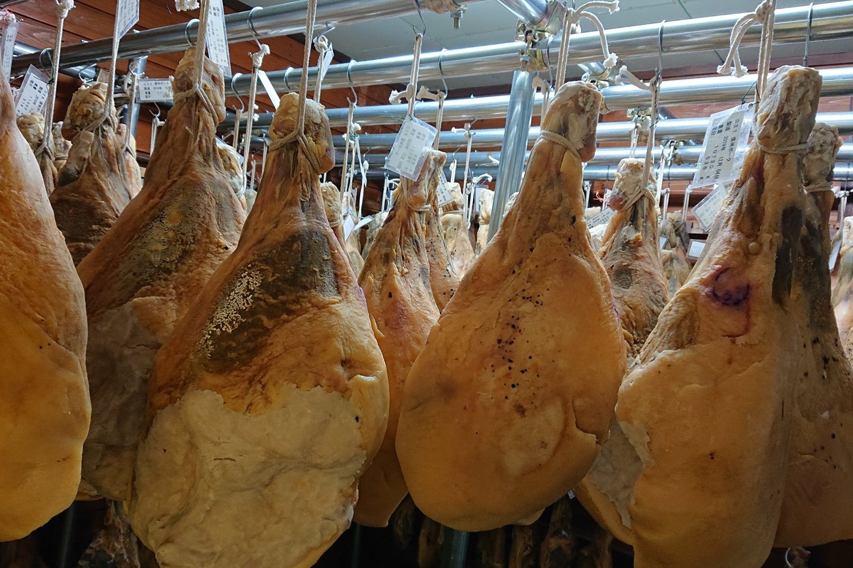 標高２０００mの北アルプスで熟成