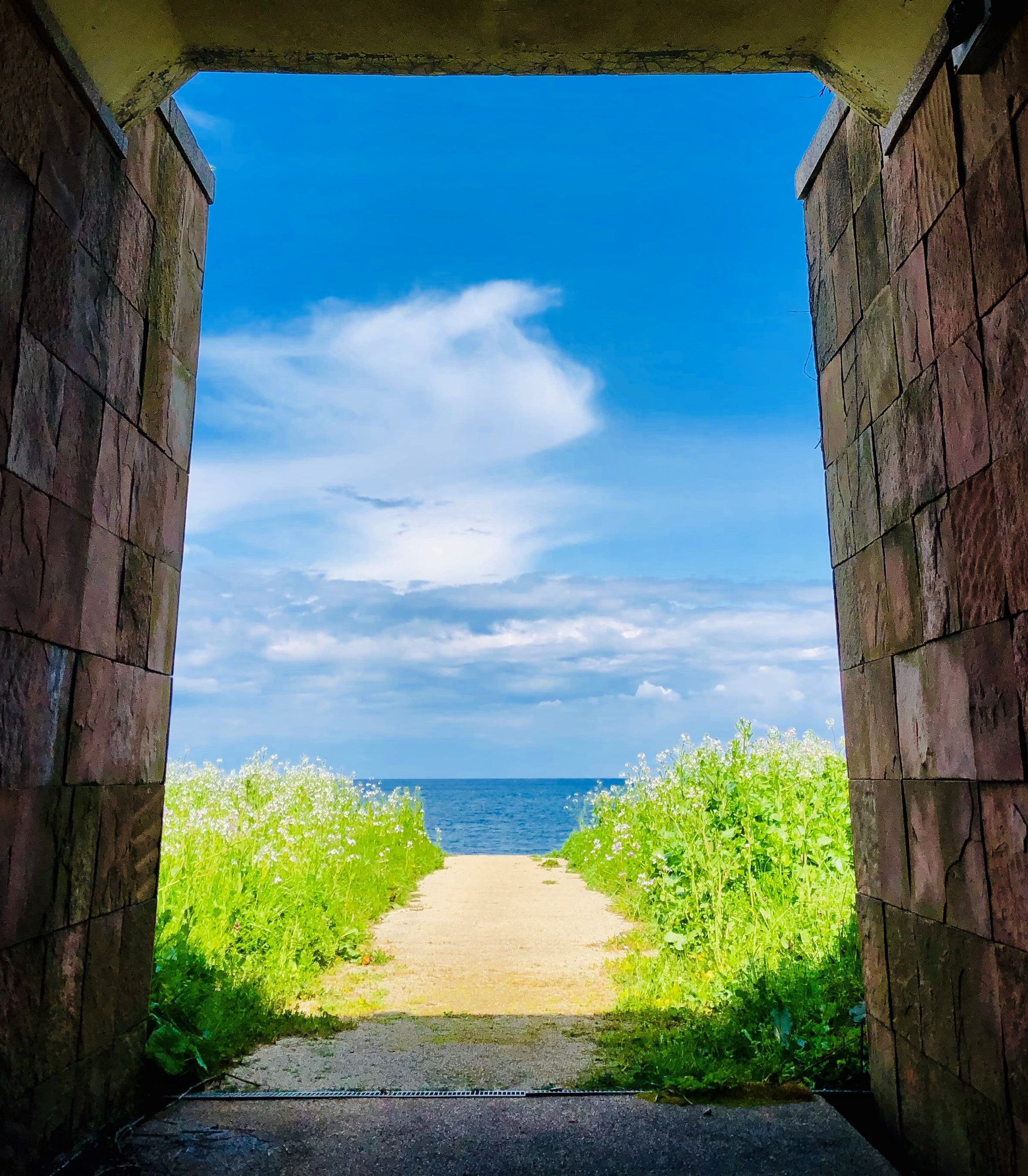 「#二の浜海岸」で検索！