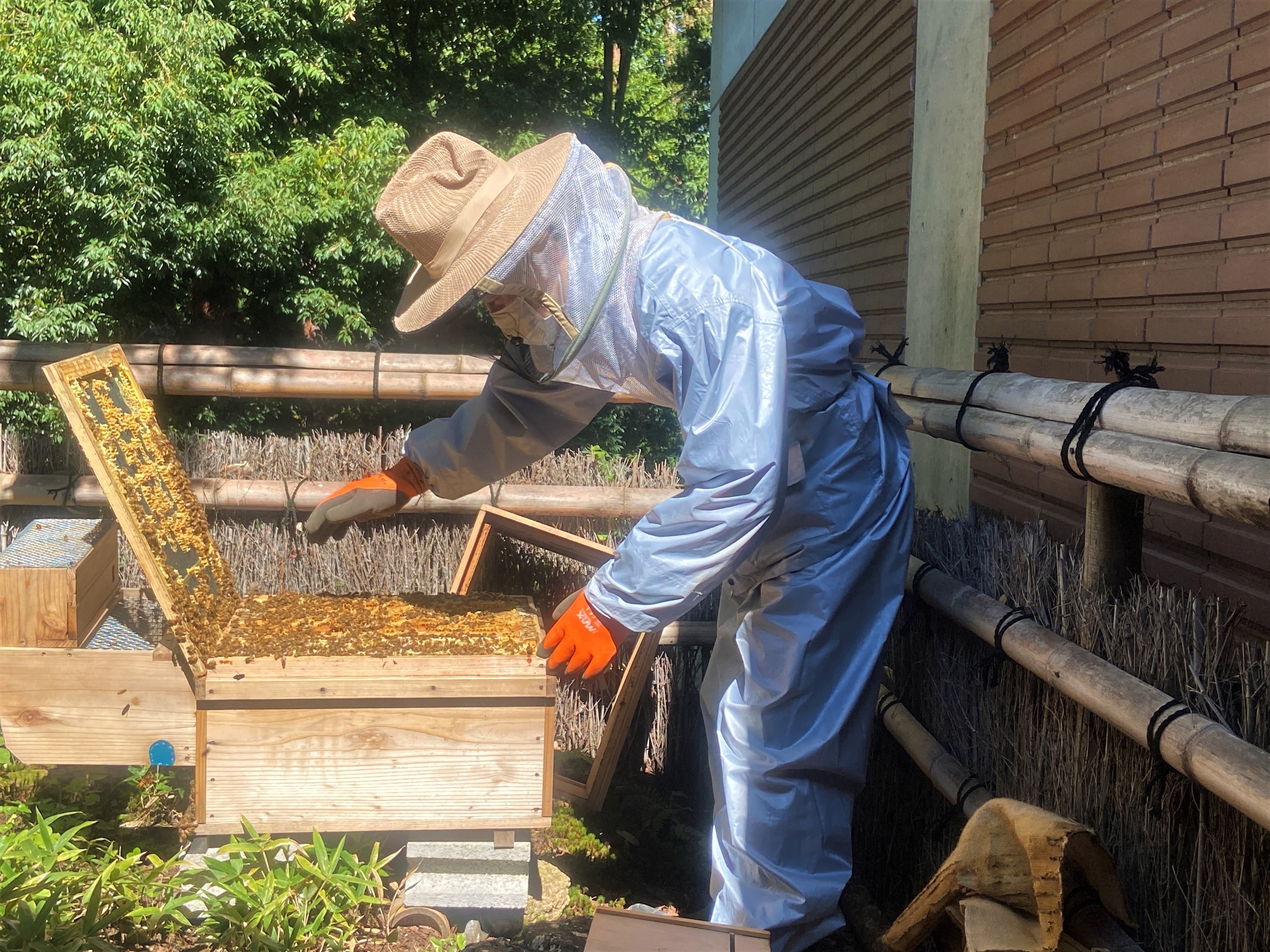 地元養蜂家「はぴ農園」さんにもご協力いただいています