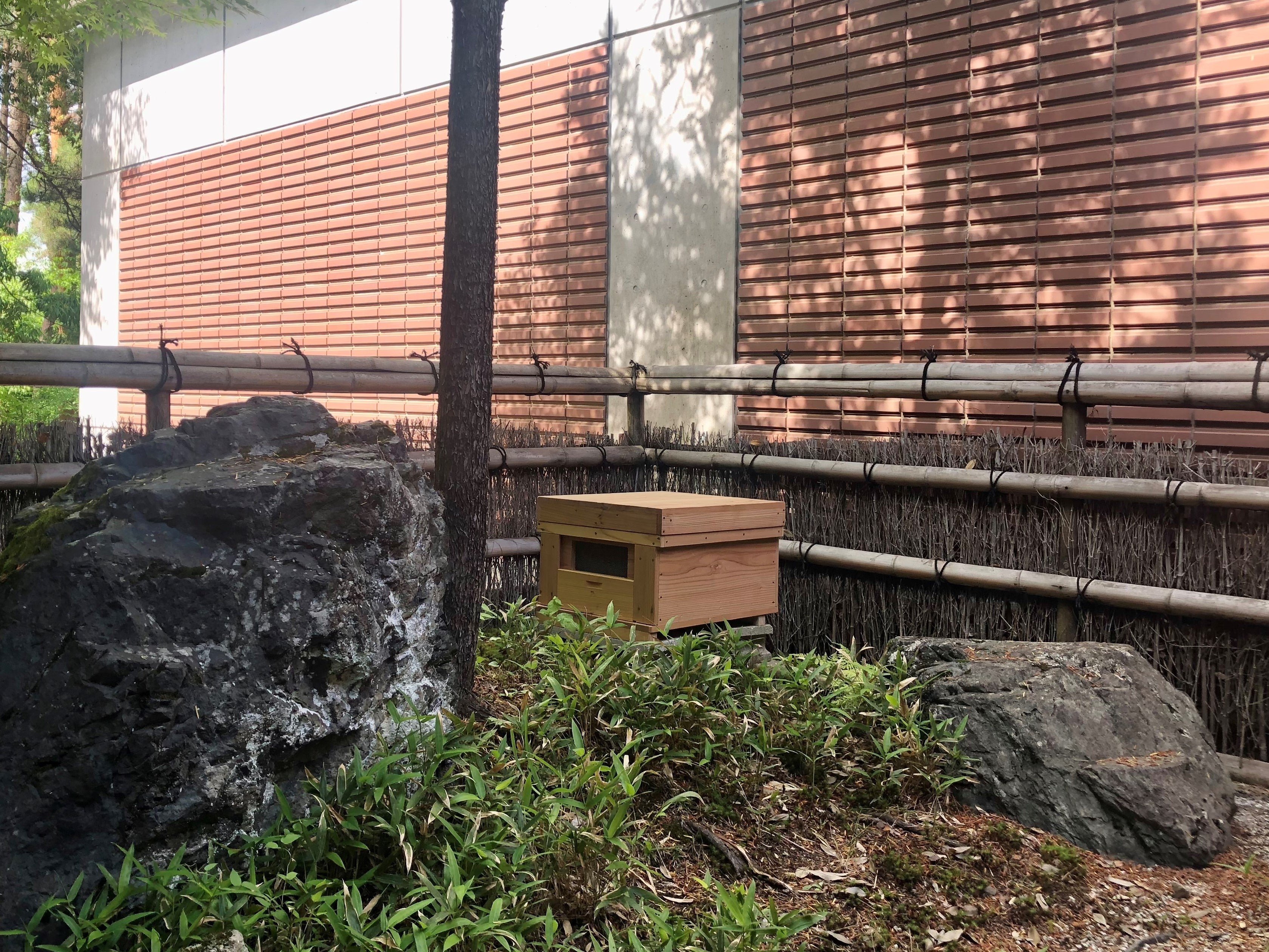 養蜂飼育戸数日本一の長野県 休暇村リトリート安曇野ホテルで採取した とれたて 蜂蜜を10月日より提供 巣箱に蜜を集めるミツバチの様子もご覧いただけます 自然にときめくリゾート 休暇村のプレスリリース