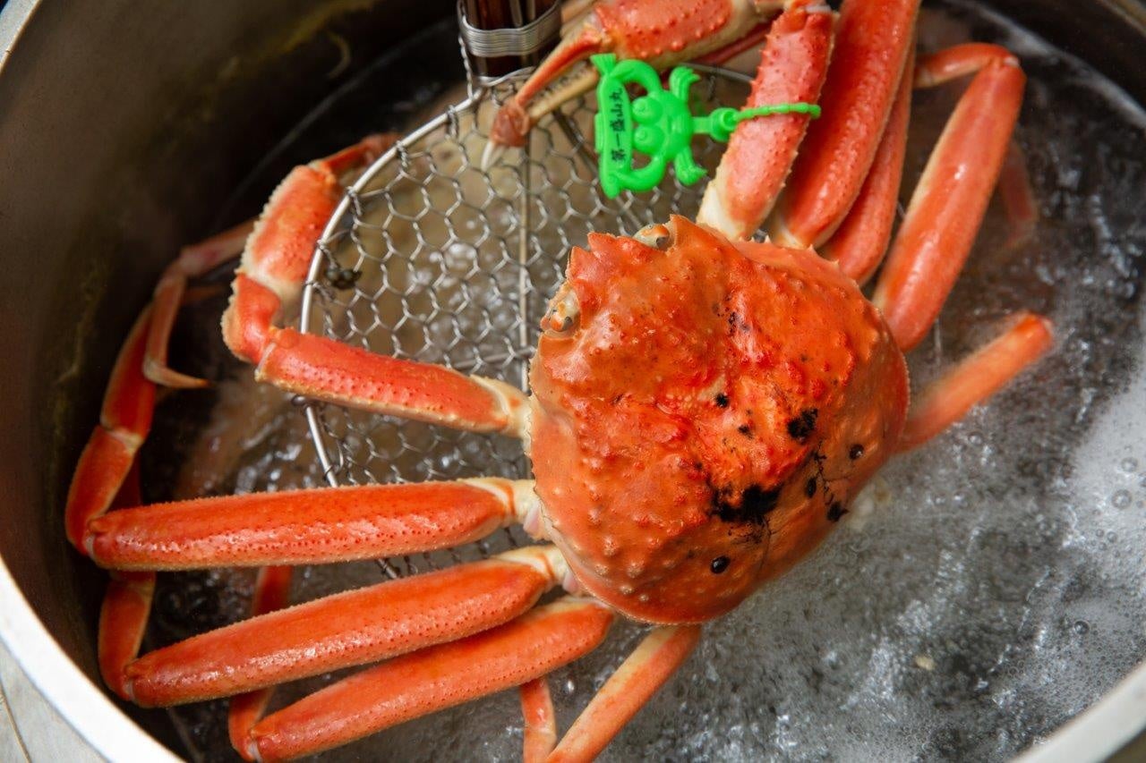 もうすぐ解禁！松葉がに