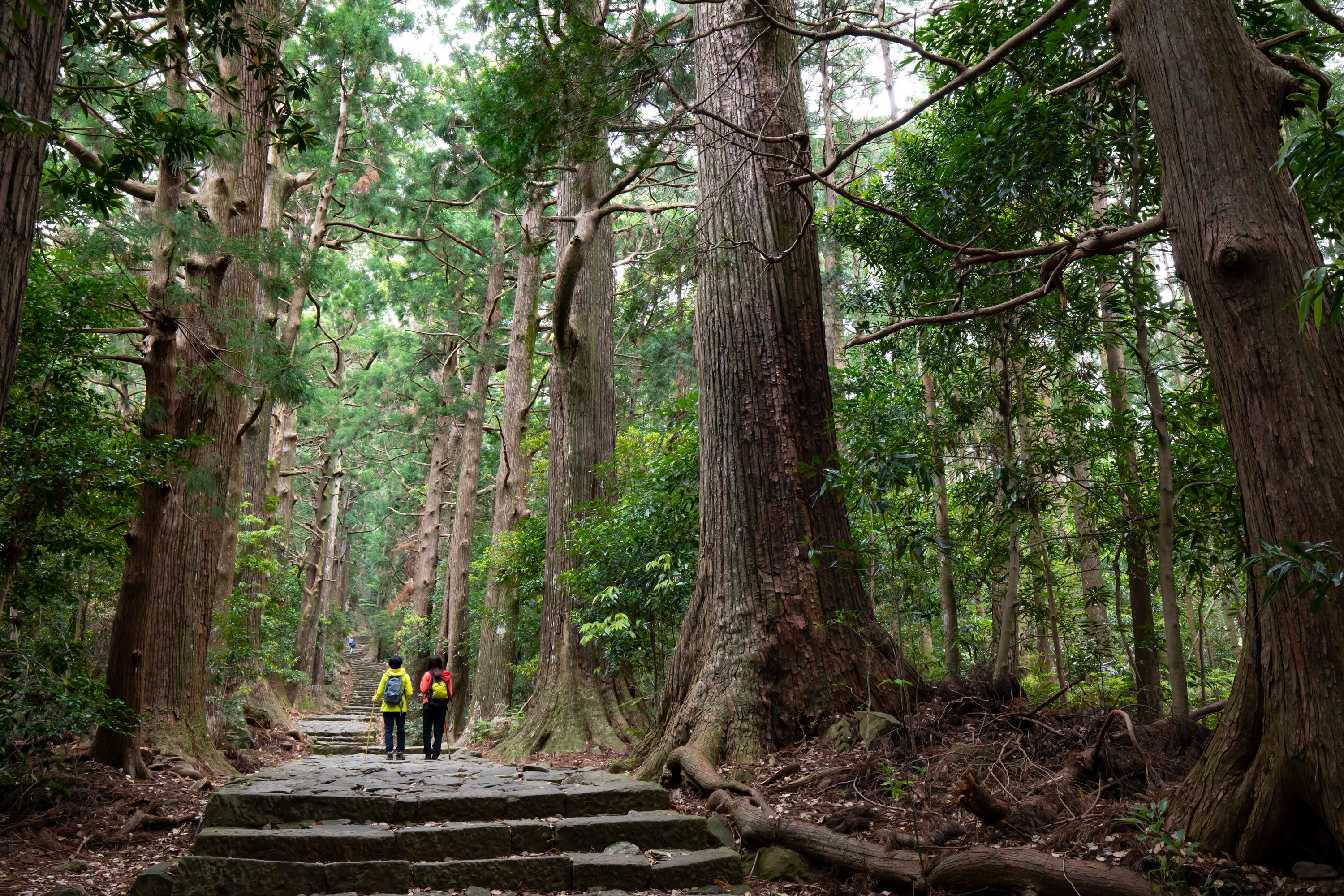 熊野古道大門坂