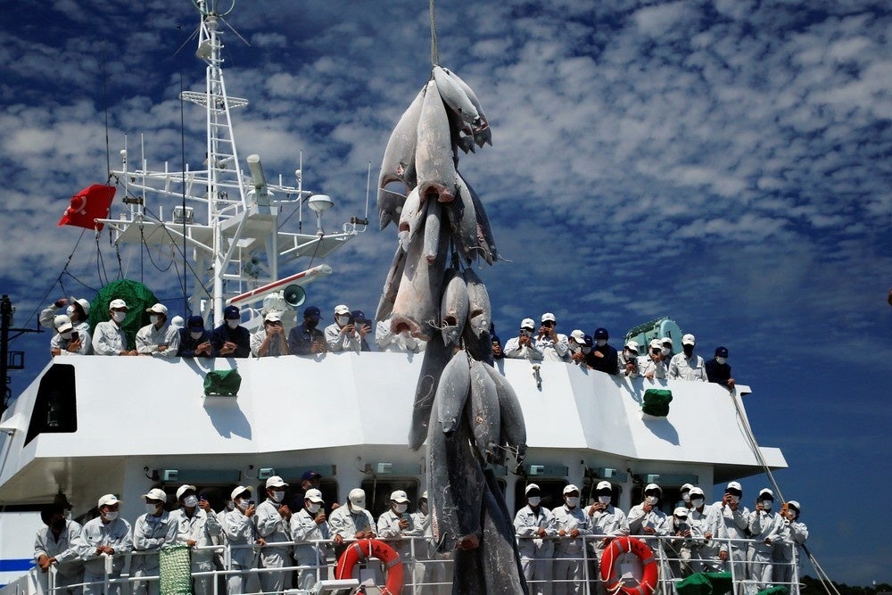 「僕らの水揚げ」柏舘 健：あなたの旅フォトコンテスト２０２１休暇村協会賞受賞作品