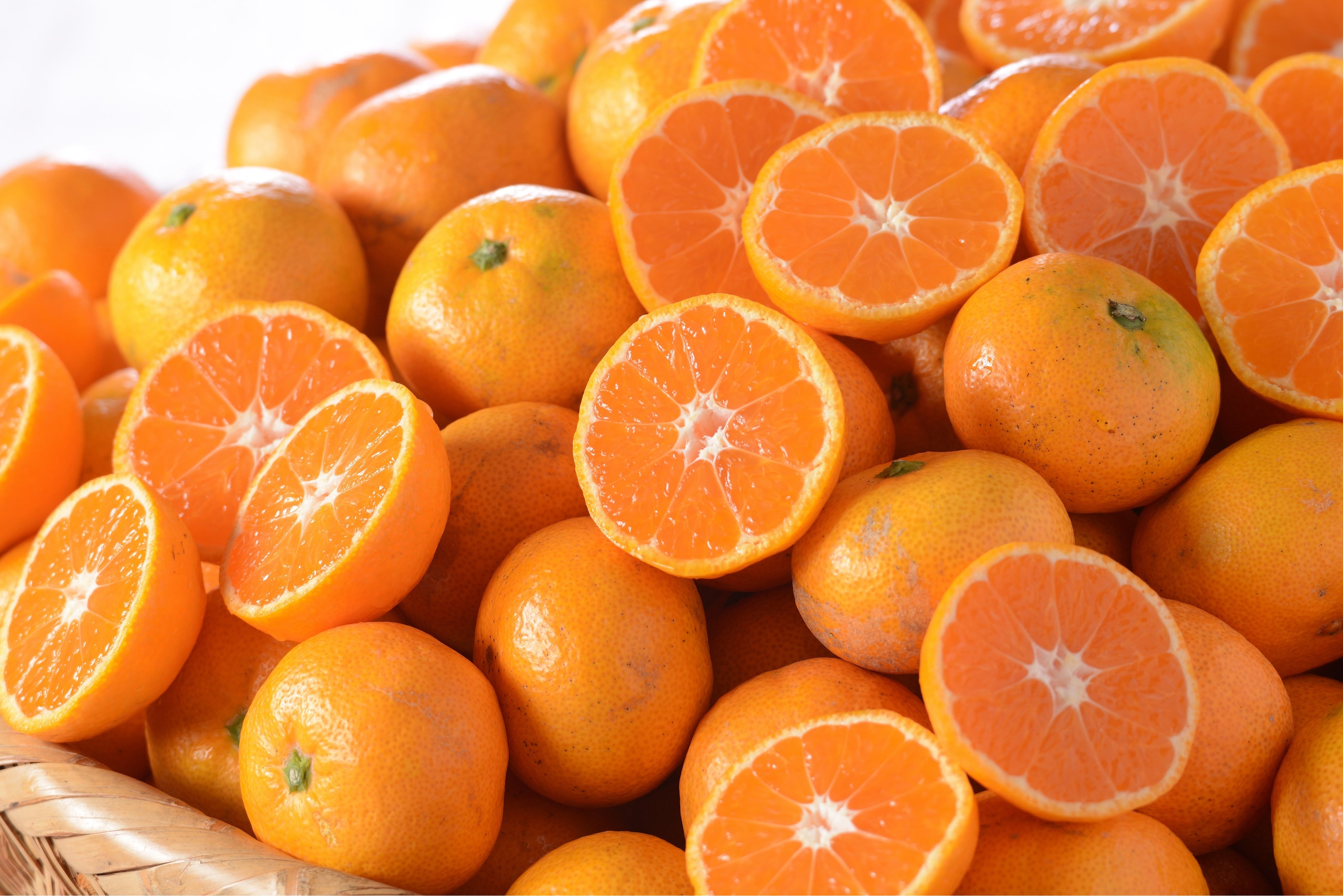 愛ある愛媛の柑橘