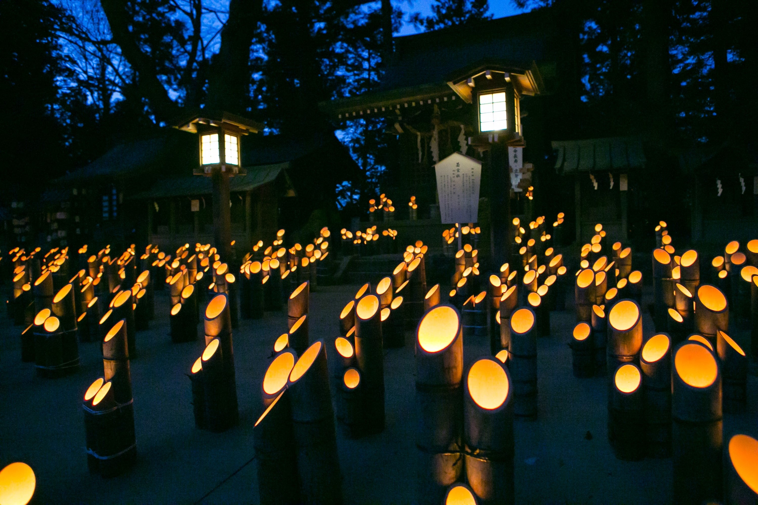 「神竹灯」の様子