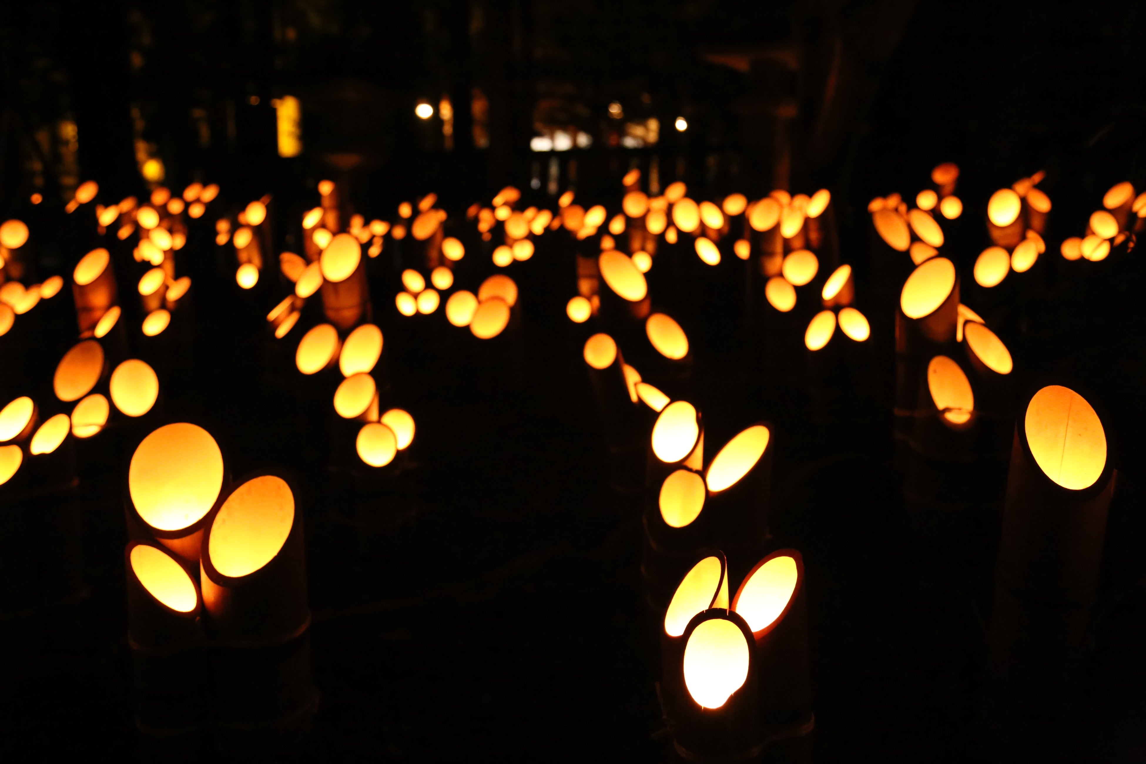 「神竹灯」の様子