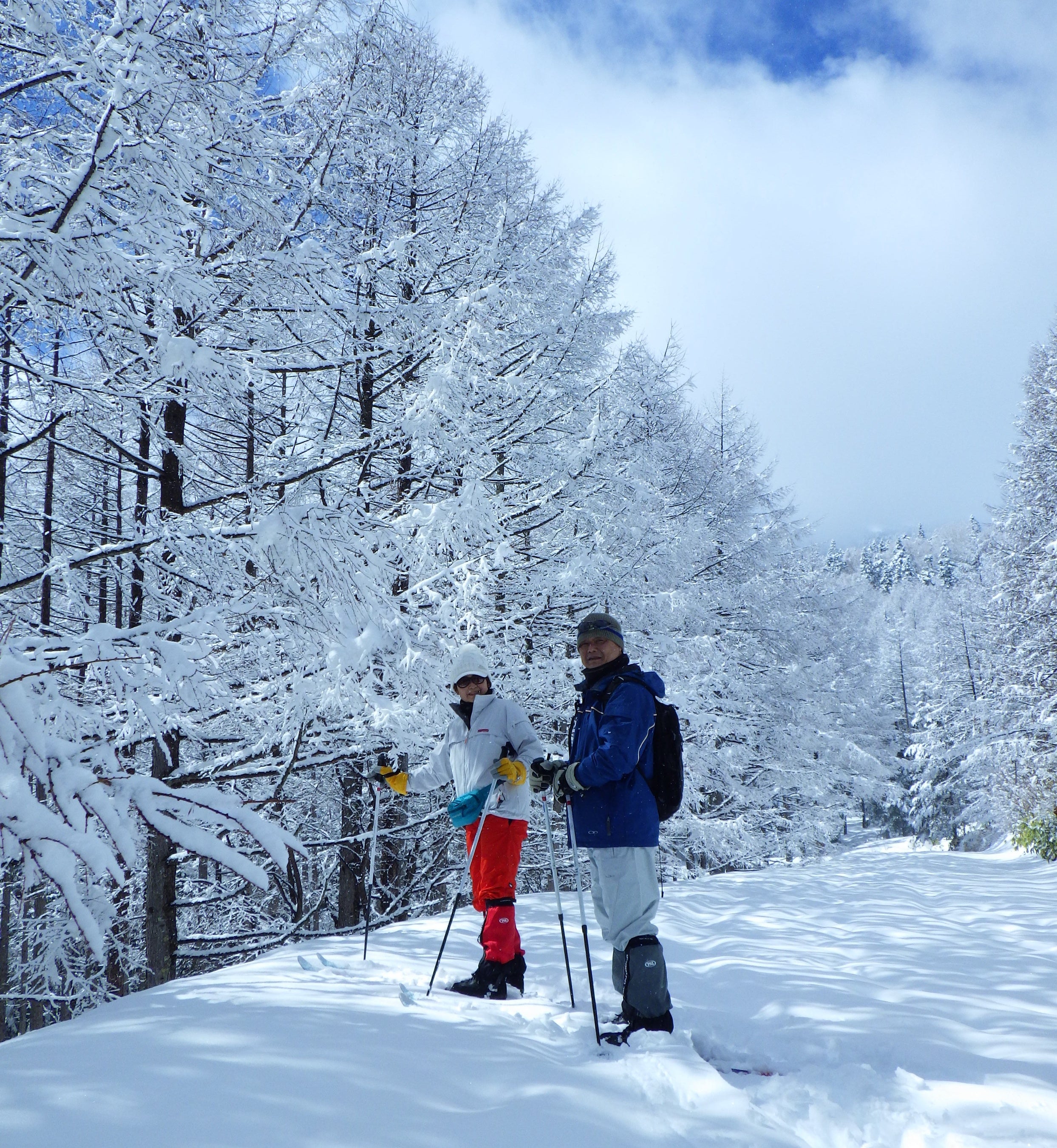 ネイチャースキー