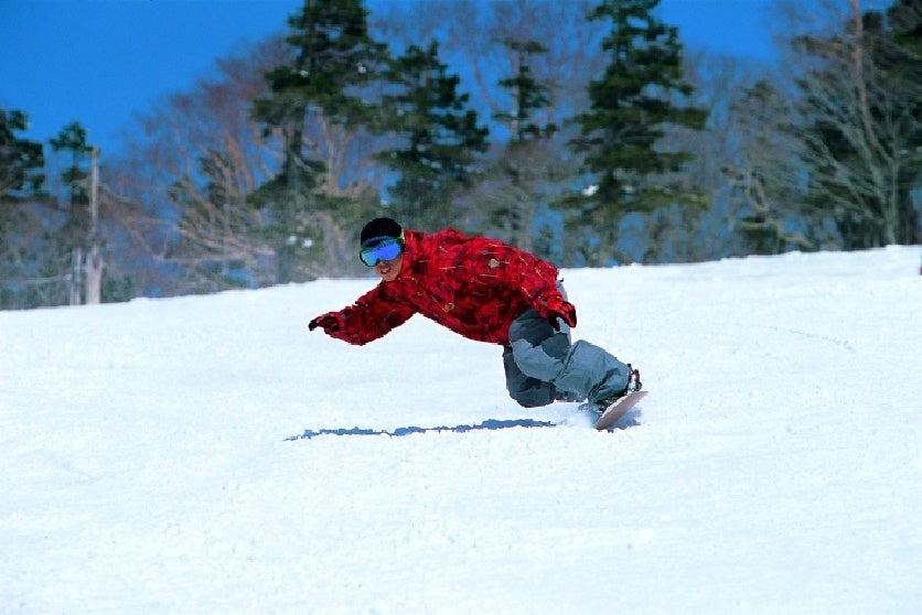 極上のパウダースノー楽しむ