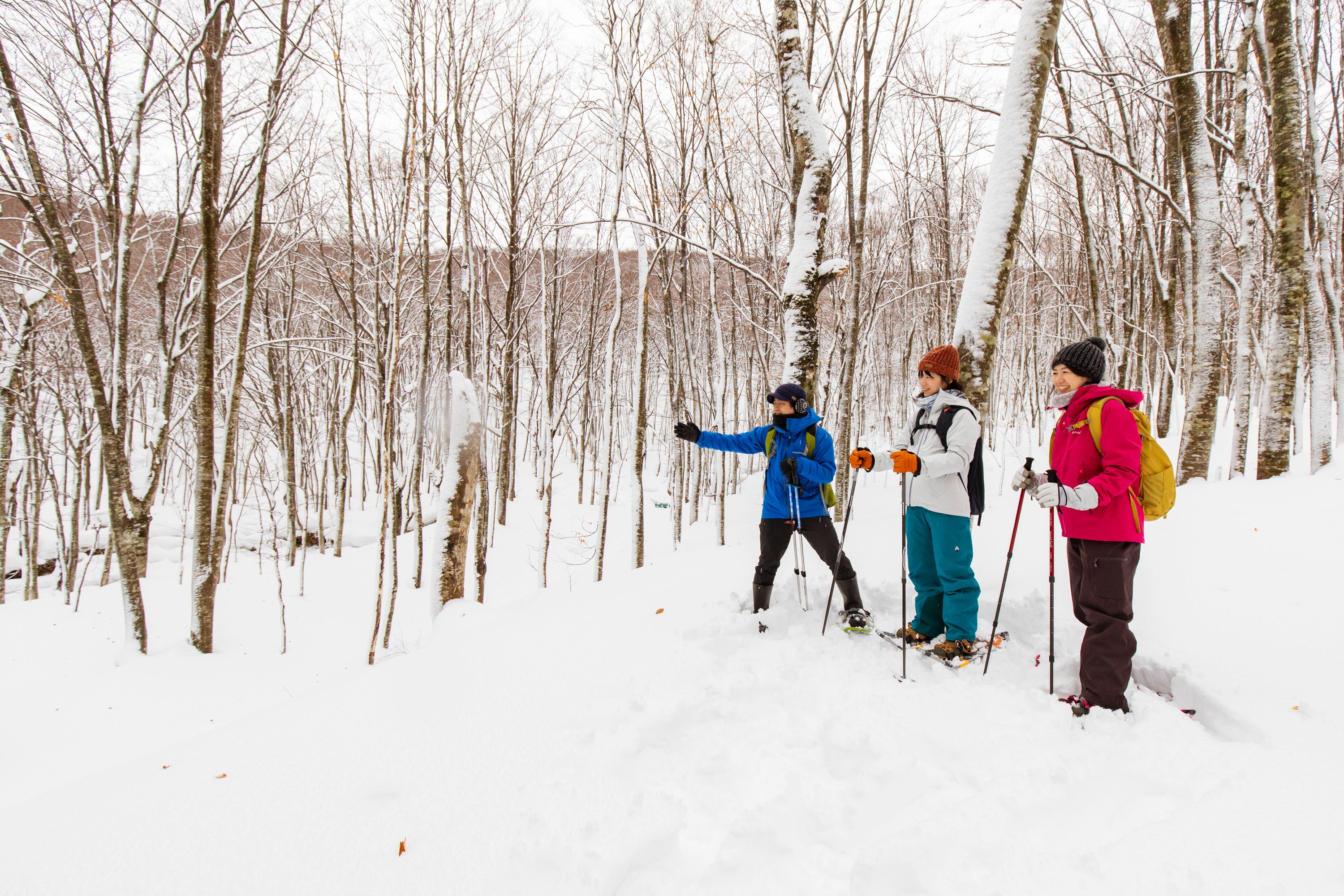 初めての方でもガイドが案内するので安心