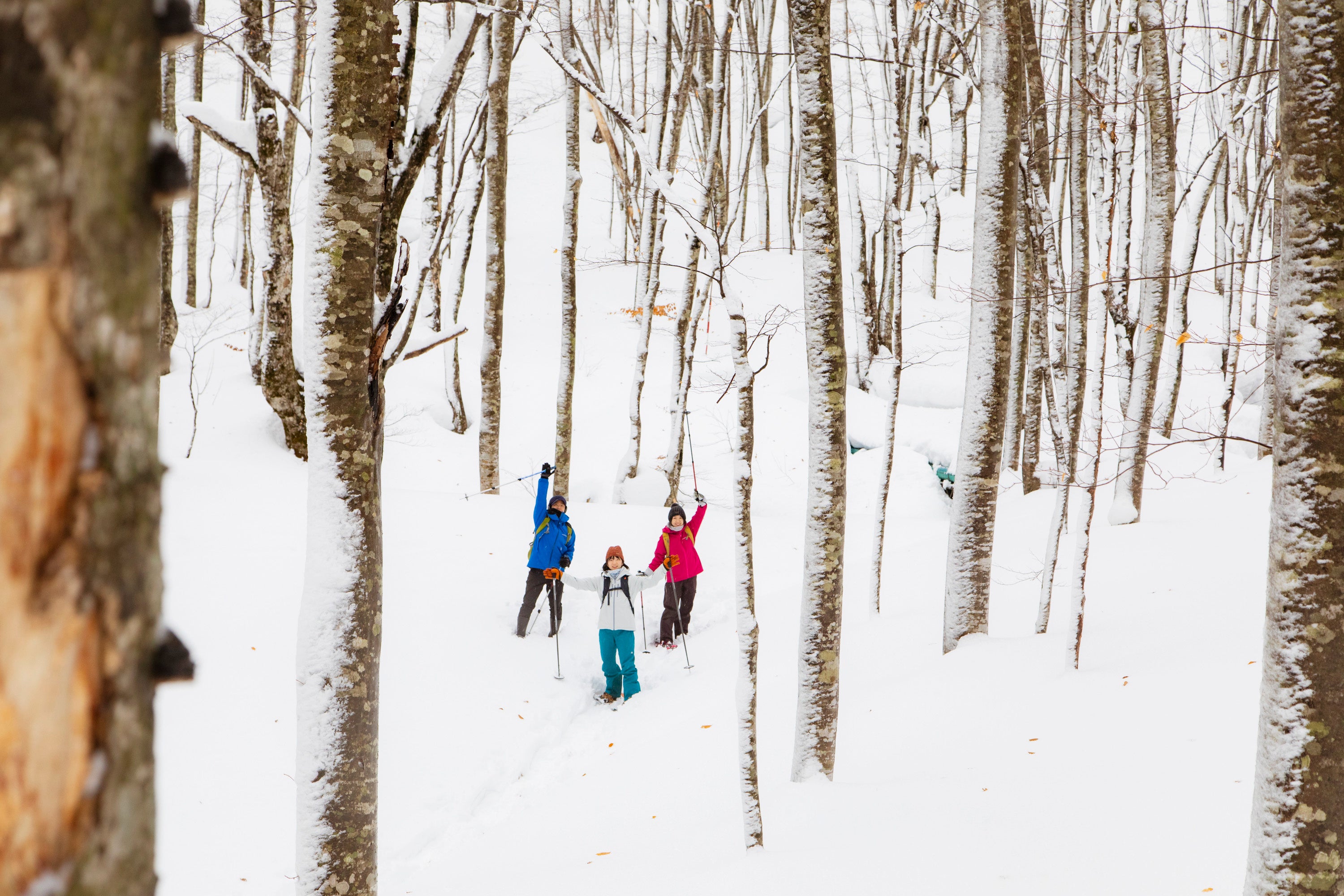 気分は森の冒険家！！