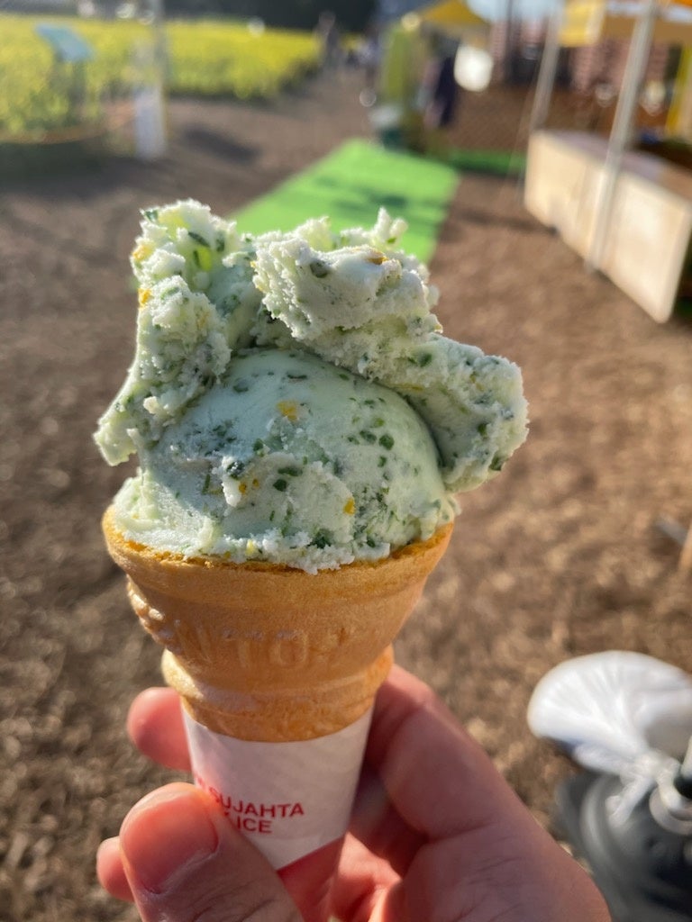 珍しい「菜の花ジェラート」や「菜の花コロッケ」など、ここでしか食べられない菜の花づくしメニューも登場