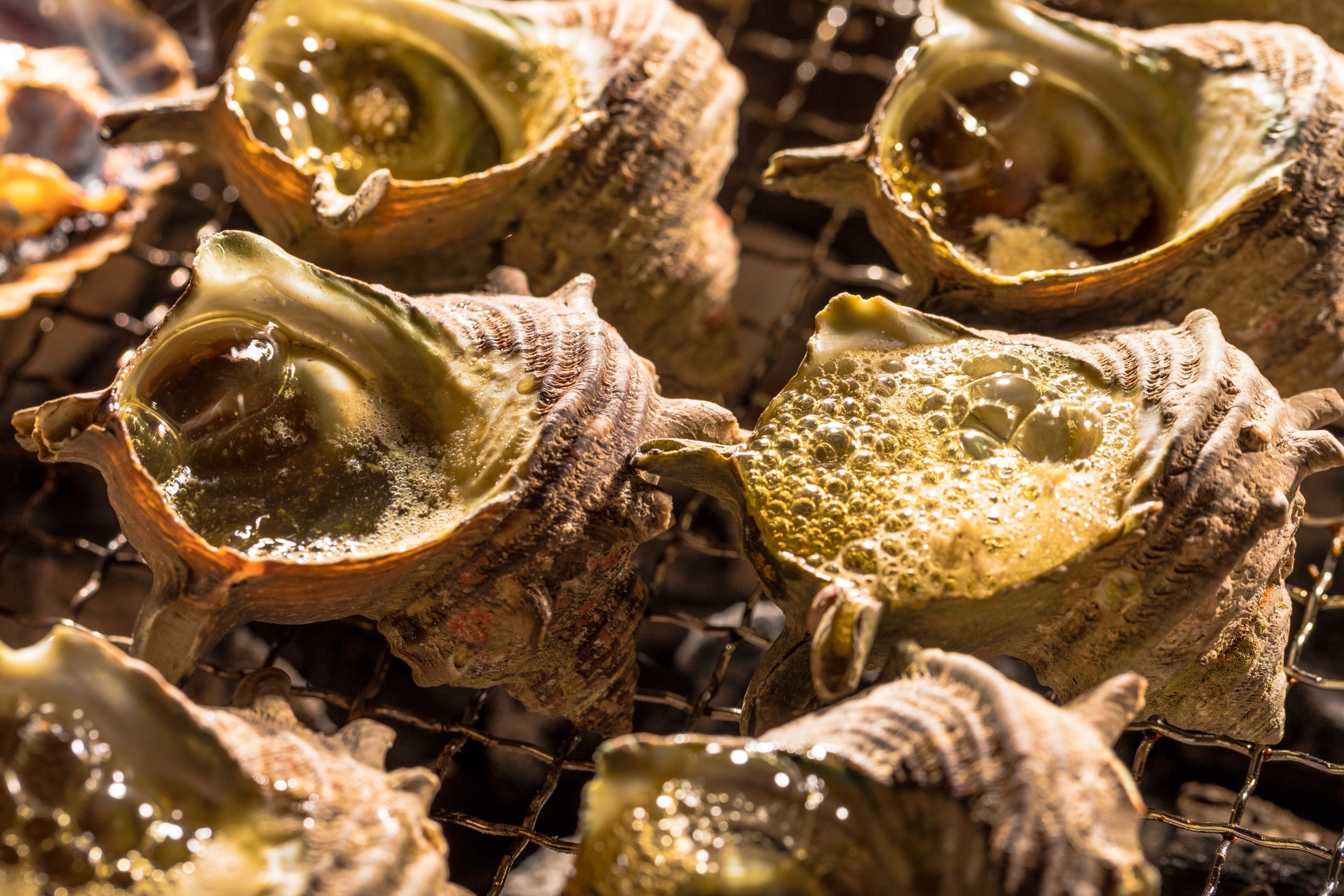 さざえのつぼ焼きも食べ放題