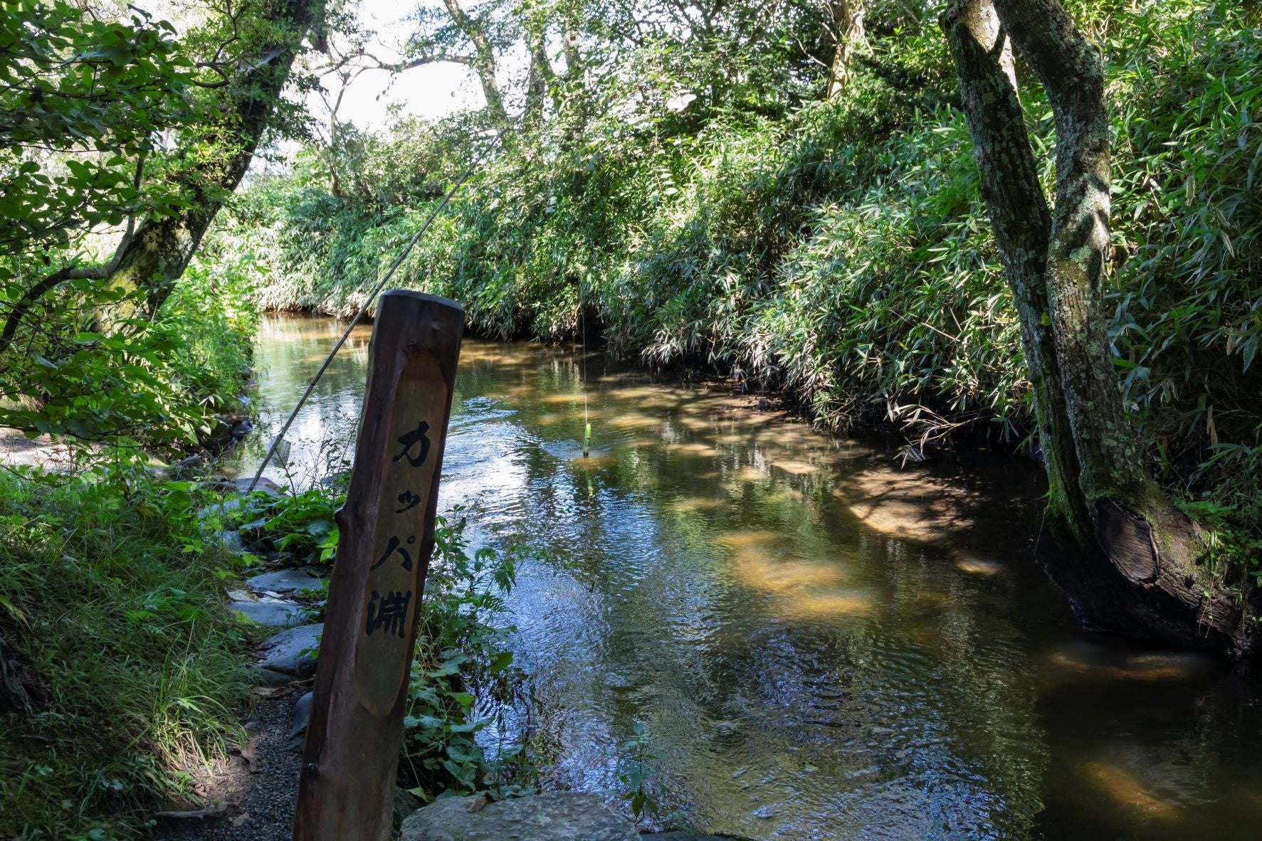 「そしたら河童が出て来て、その馬を淵さ引き込むべとしたずもな。」遠野野昔ばなし「かっぱ淵」より
