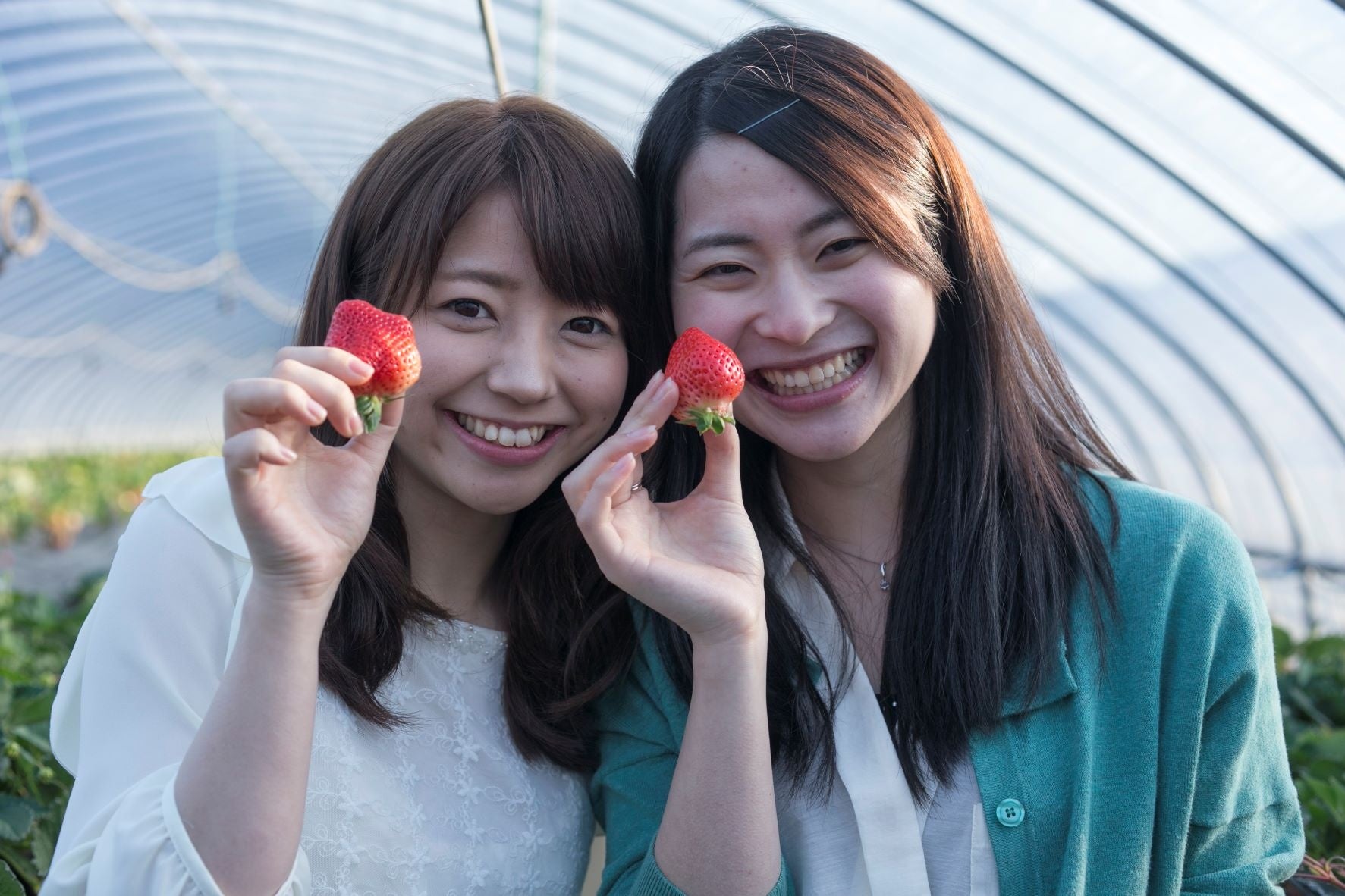 大粒で甘みの強いイチゴ「あまおう」　一口かじると思わず笑顔に