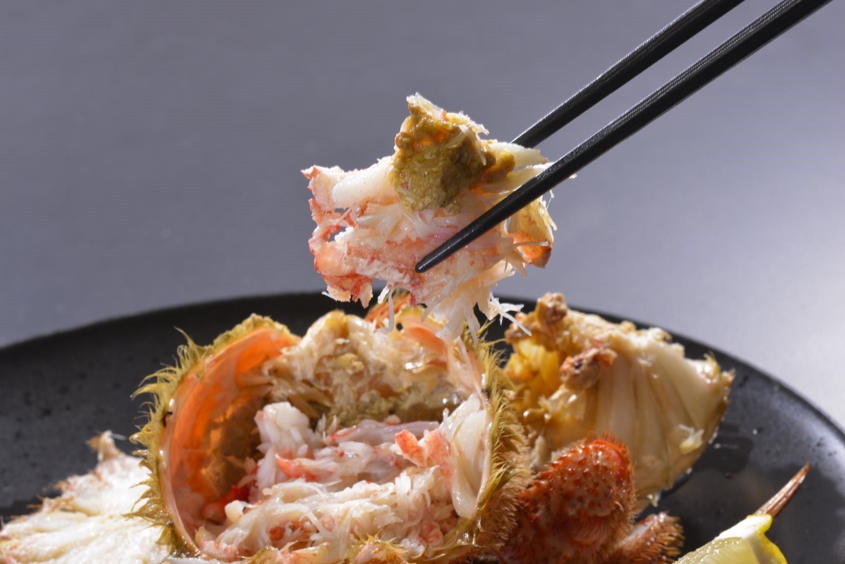 三陸の毛ガニは、三陸沖の豊富な海藻やプランクトンから栄養を吸収し身や味噌が濃厚になります