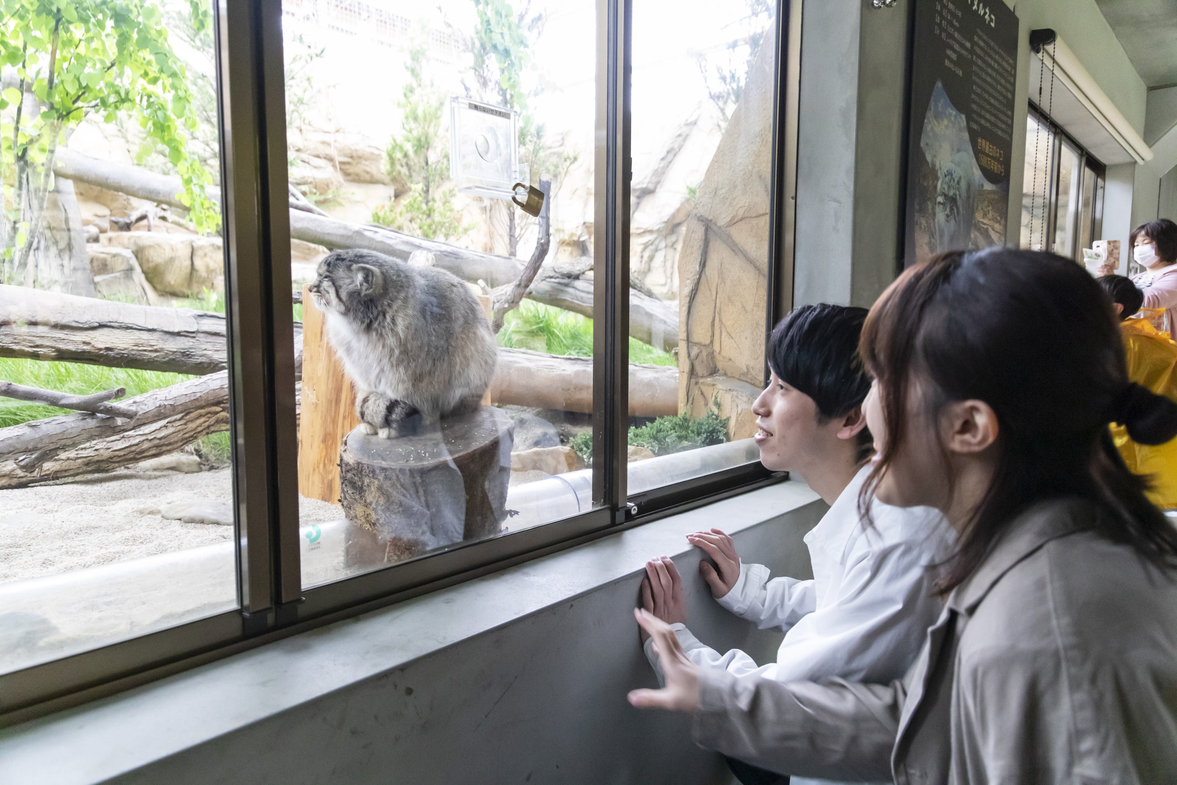 那須どうぶつ王国