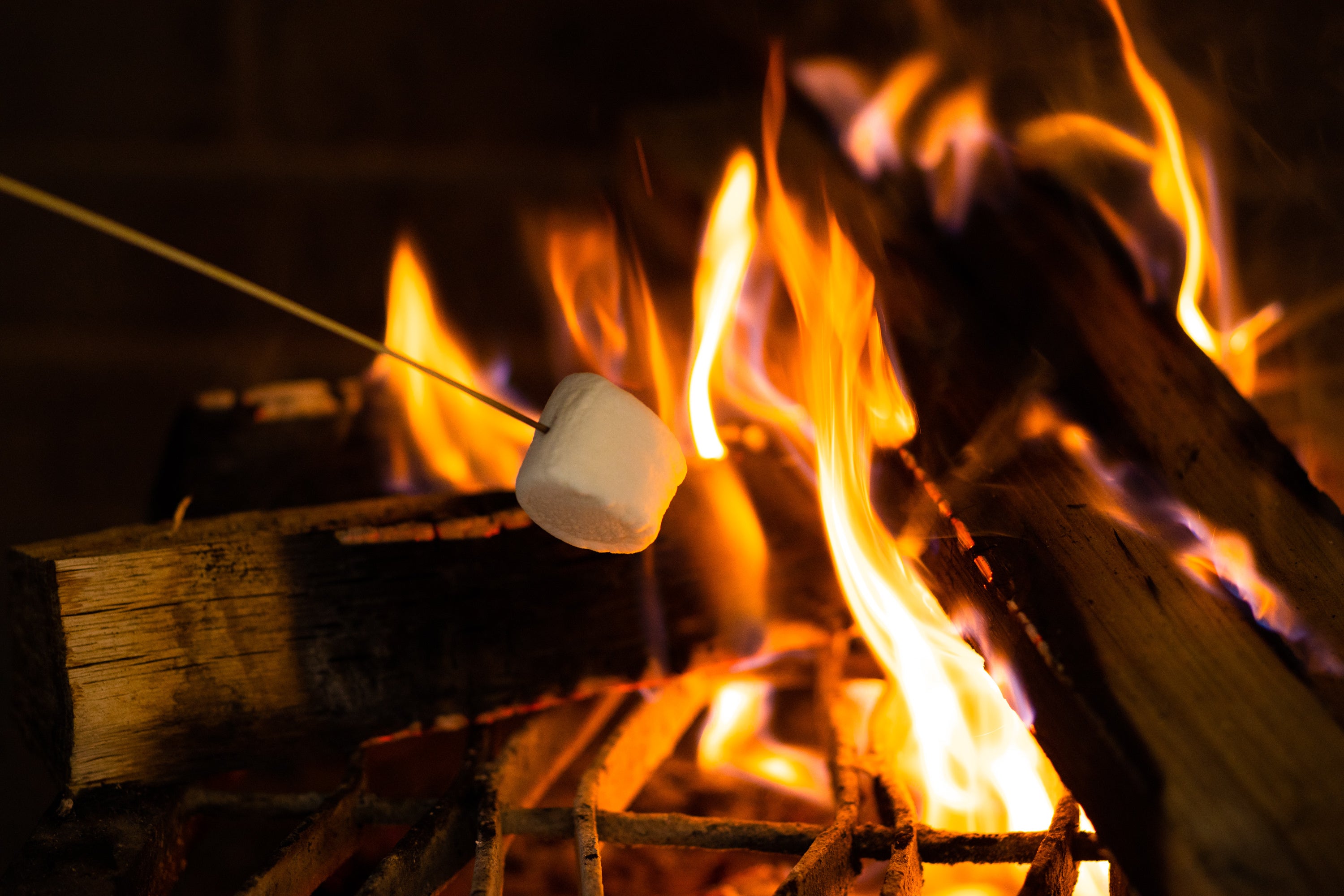 外はカリッ、中はトロトロの焼きマシュマロ