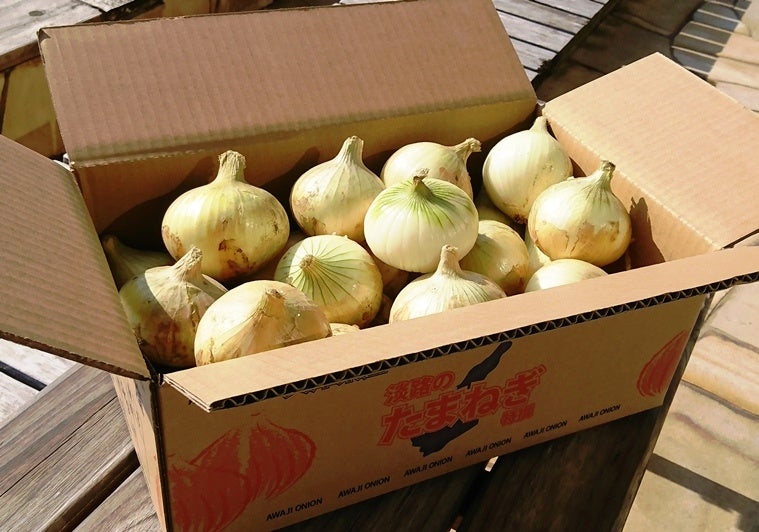 淡路島の春の収穫祭「重さ当て大会」