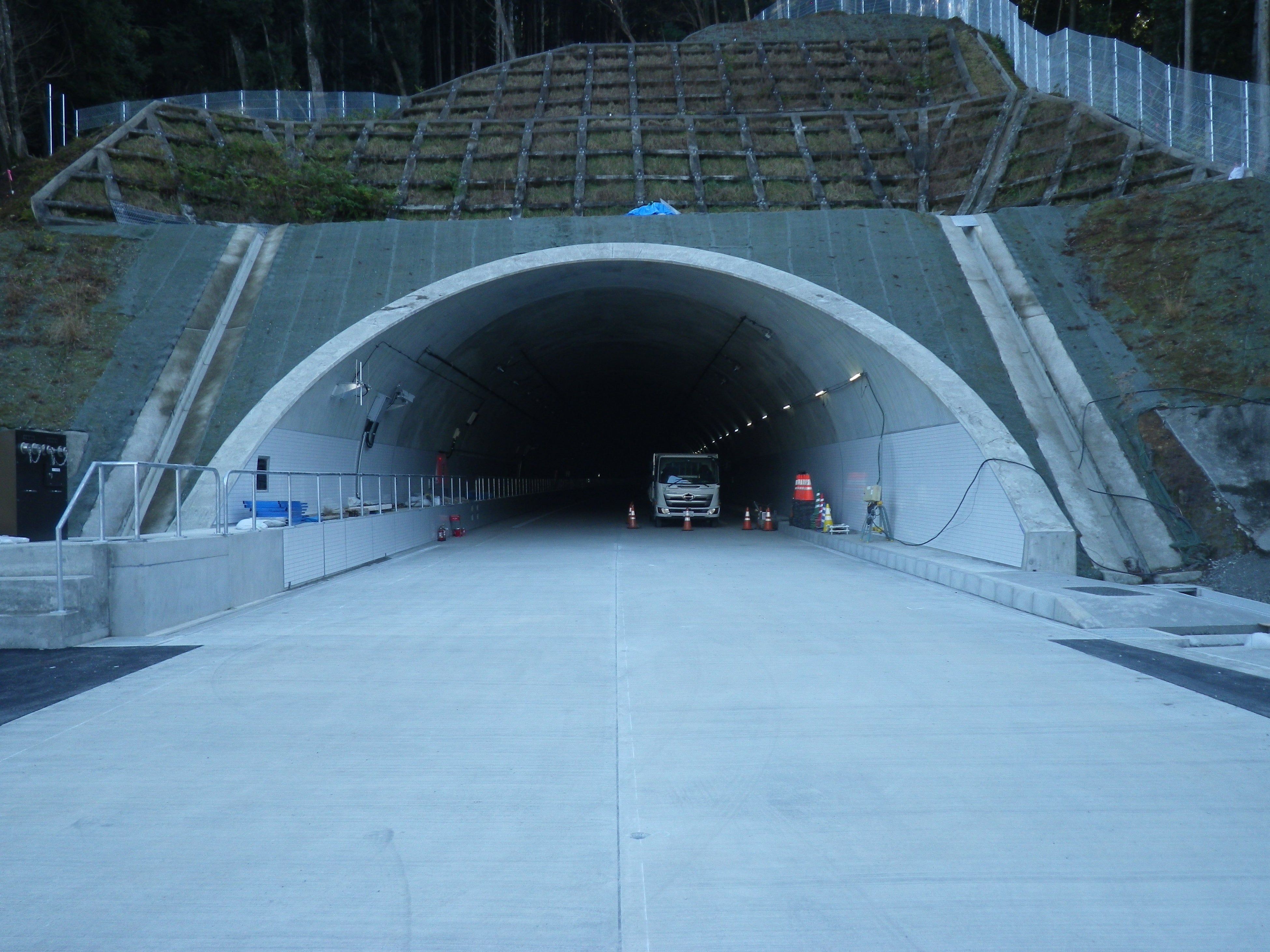 河津桜トンネル　※2022年12月撮影